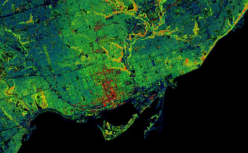 Toronto Trees LiDAR scan data