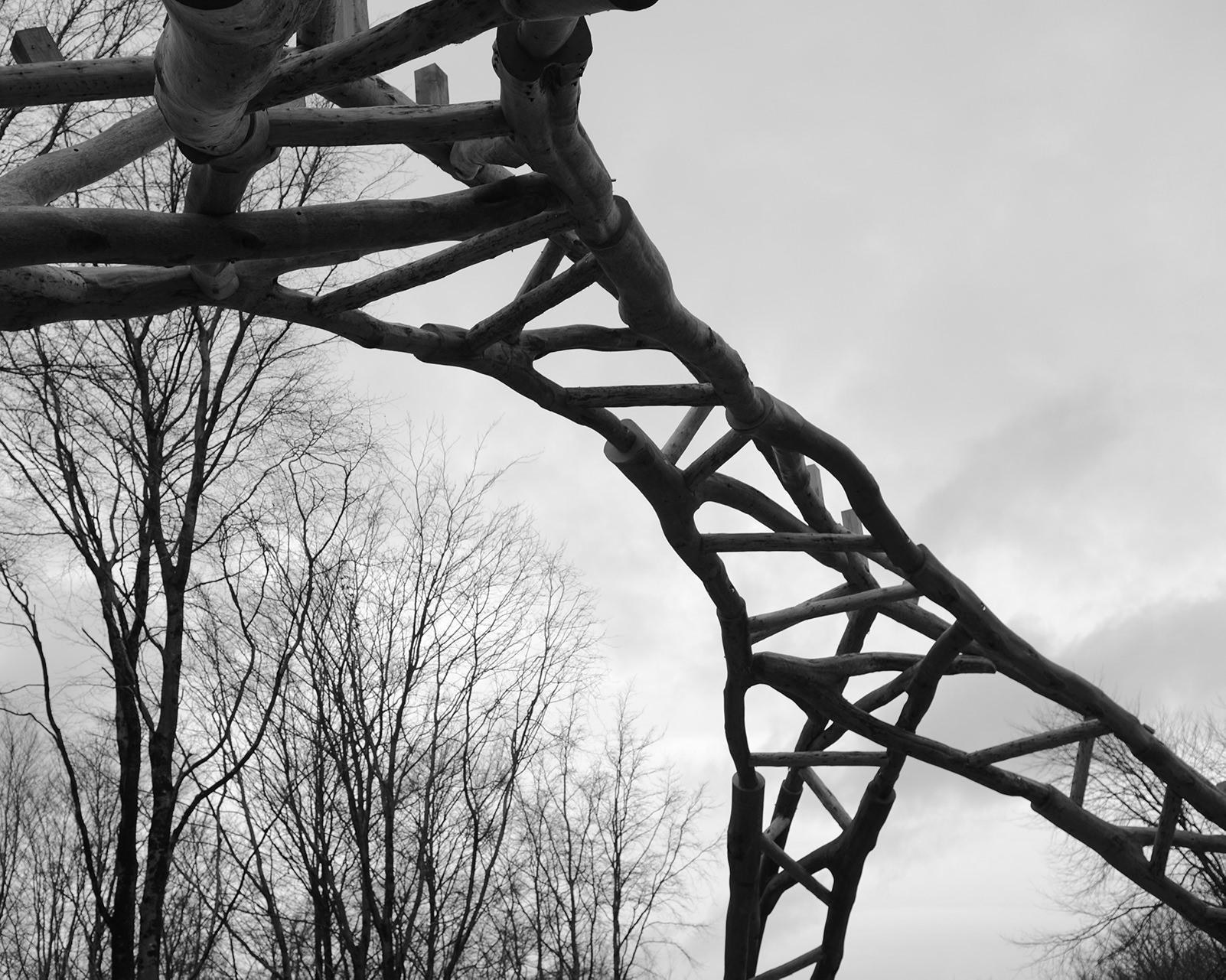 AA Wood Lab tree fork truss