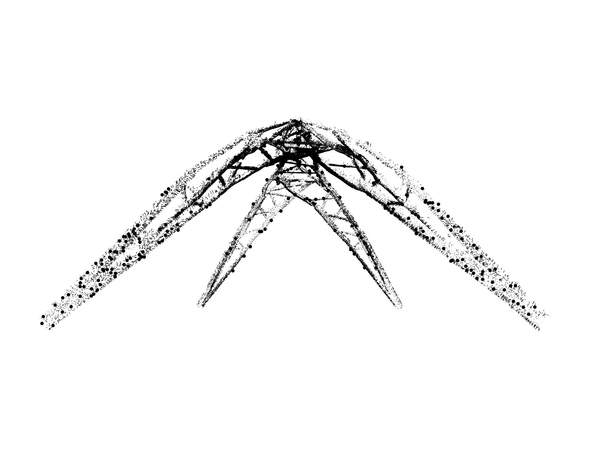 AA Wood Lab TreeForkTrussKnots