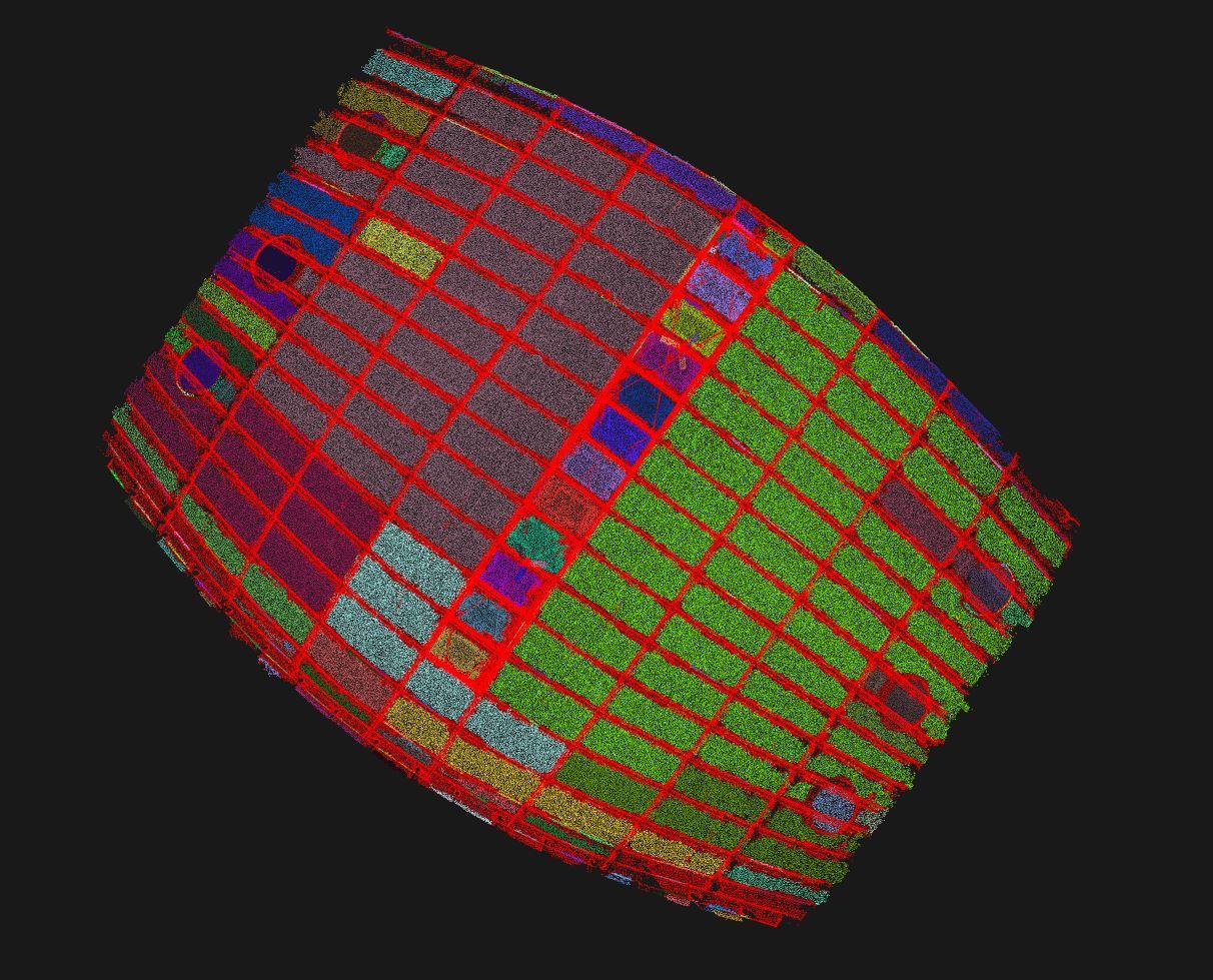 AA Wood Lab ShellSegments