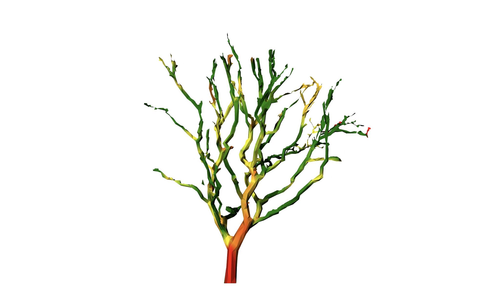 AA Wood Lab MeshTree