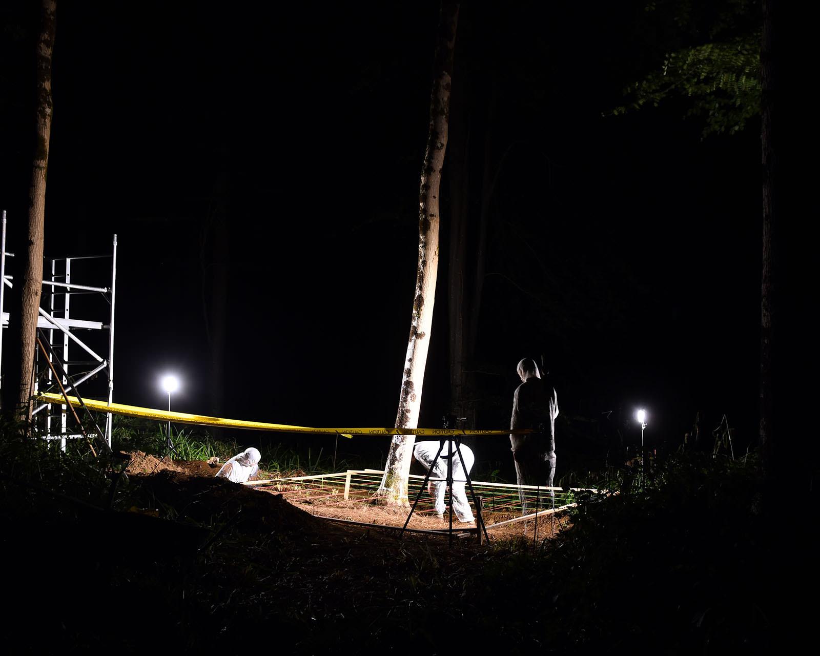 An Ash Tree forensic scene LucasWilson