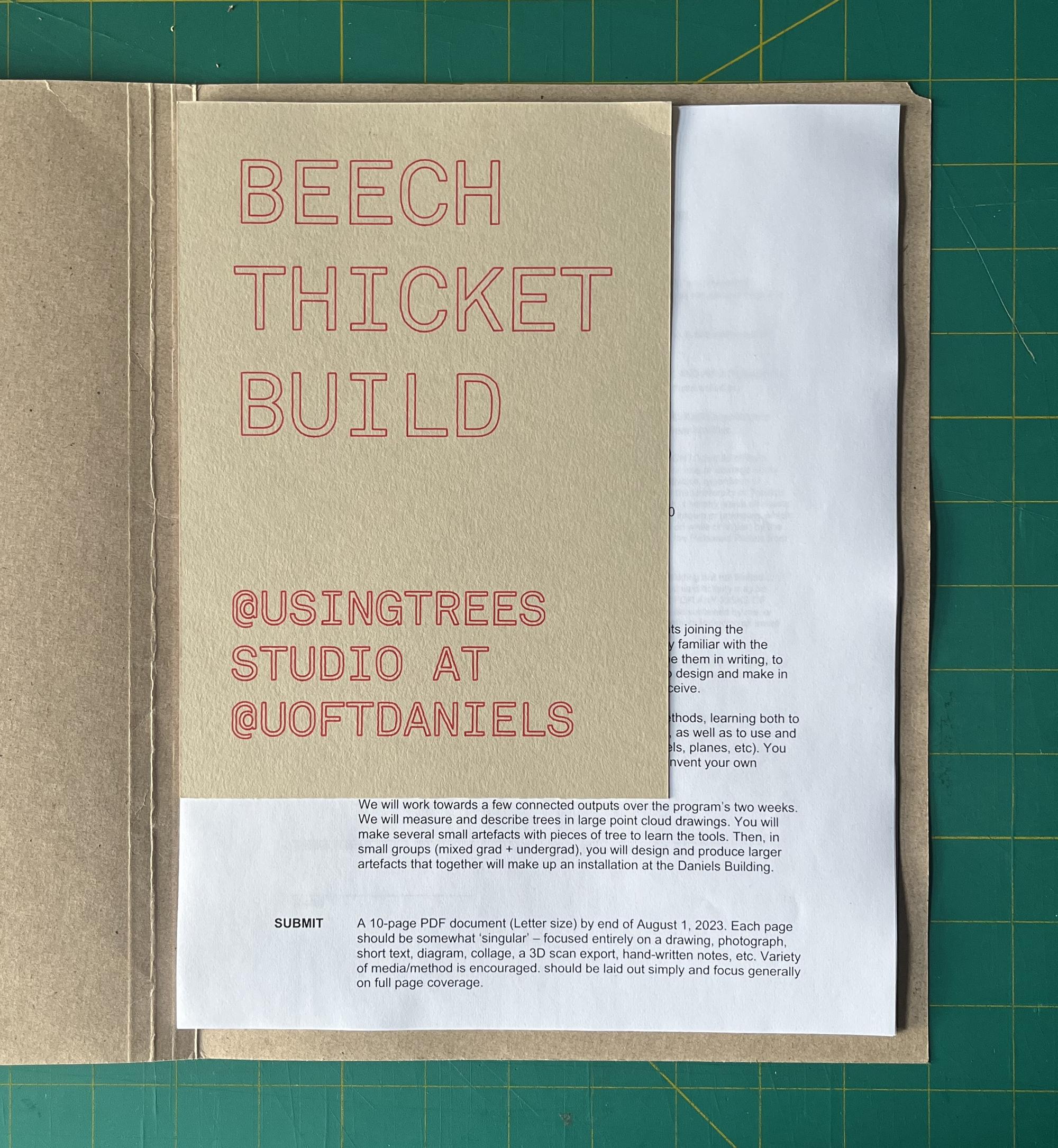 Beech Thicket Build