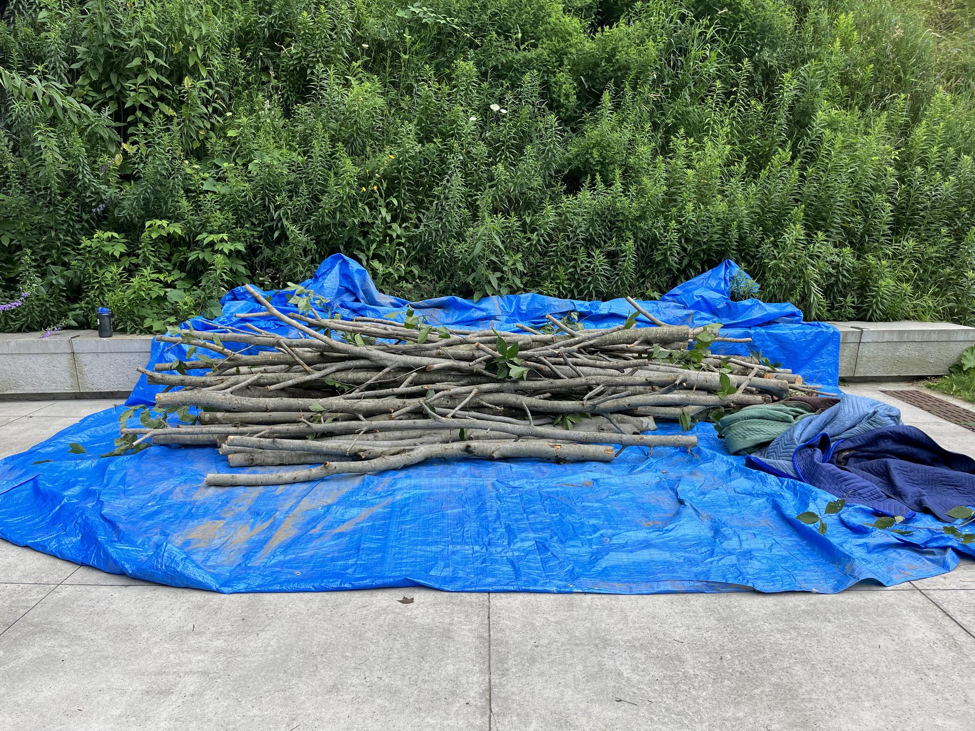 Beech Thicket Build