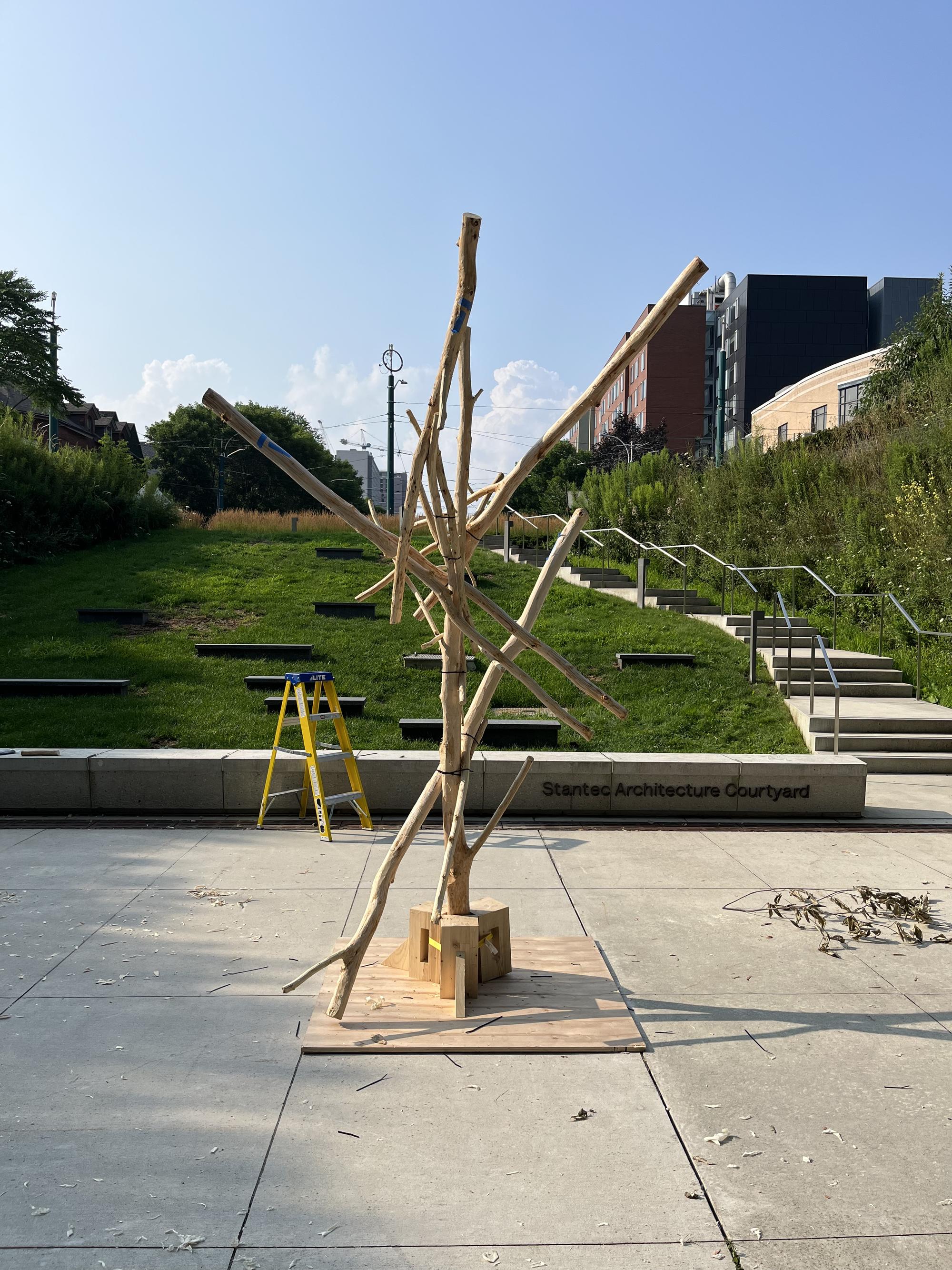 Beech Thicket Build