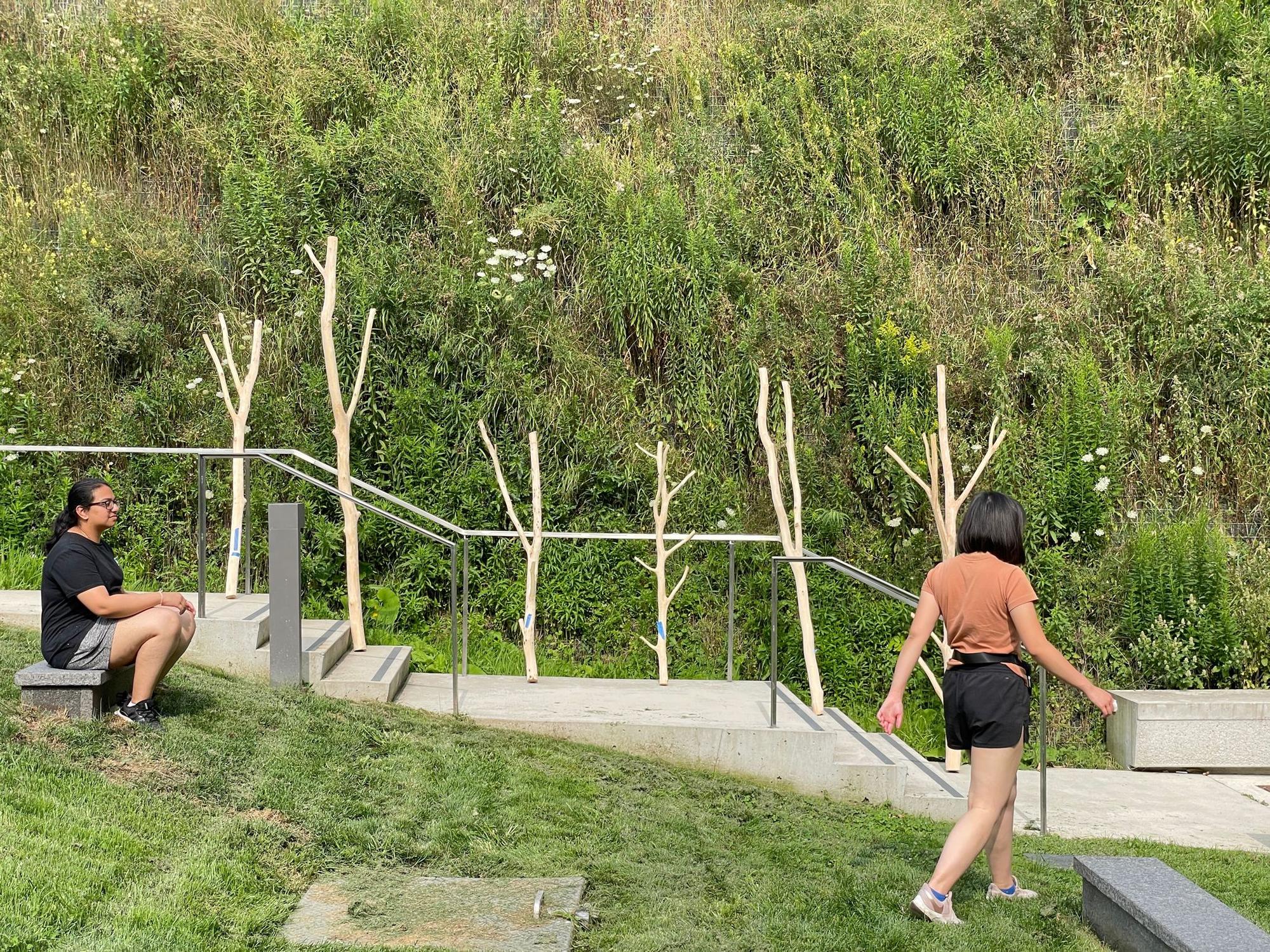 Beech Thicket Build