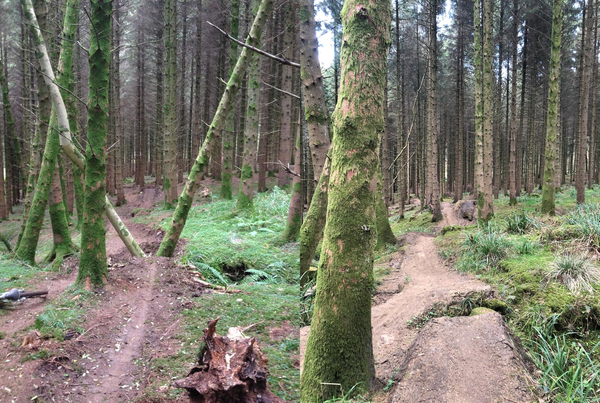 bike trail_