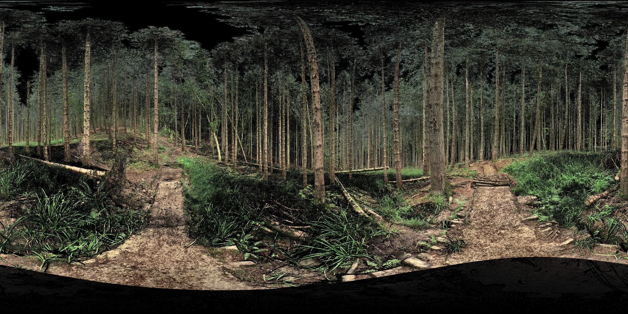 bike trail_LIDRprocess