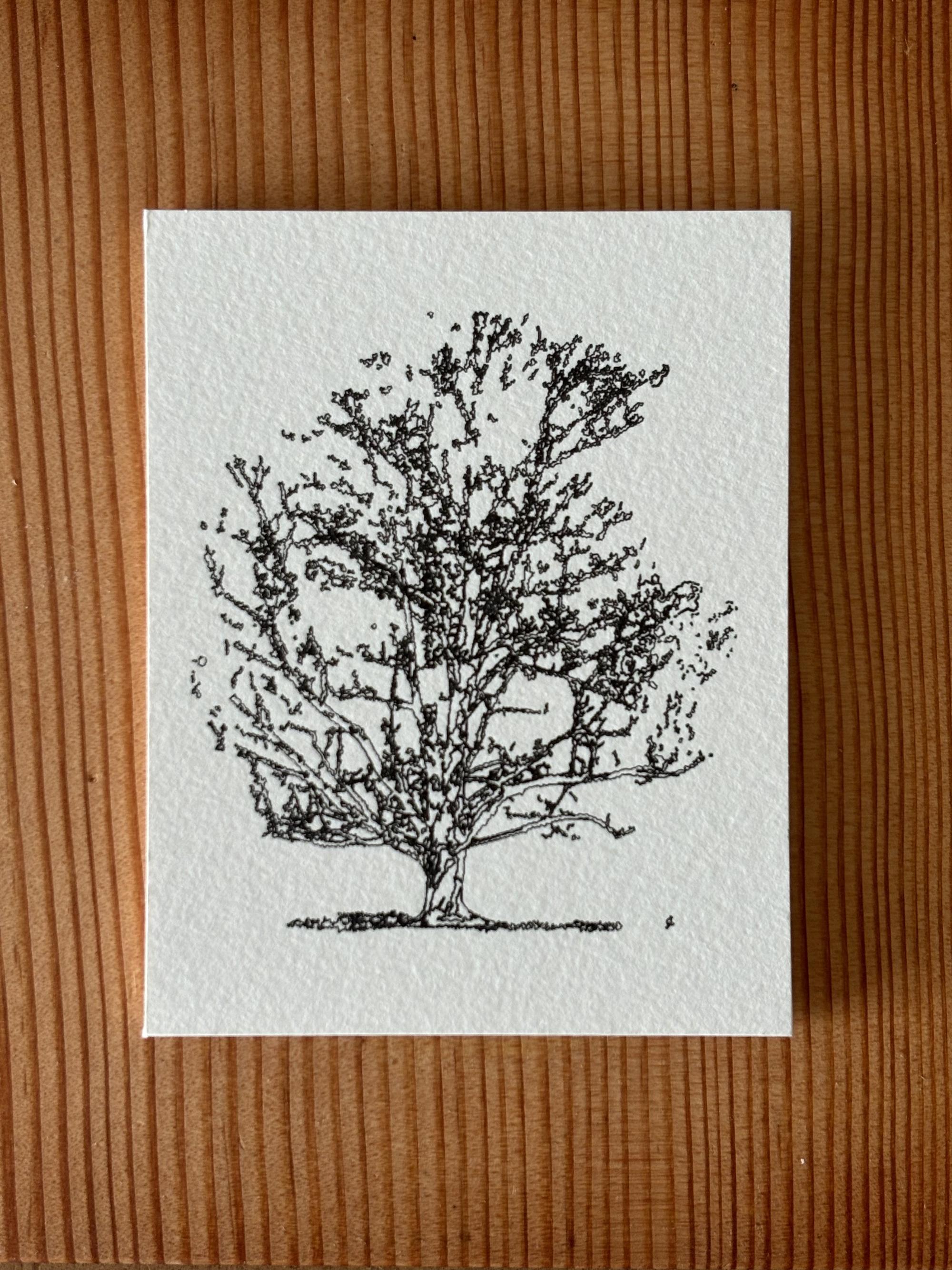 Cards and Prints