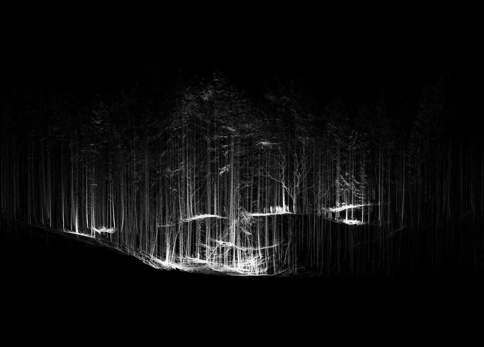ForestScan