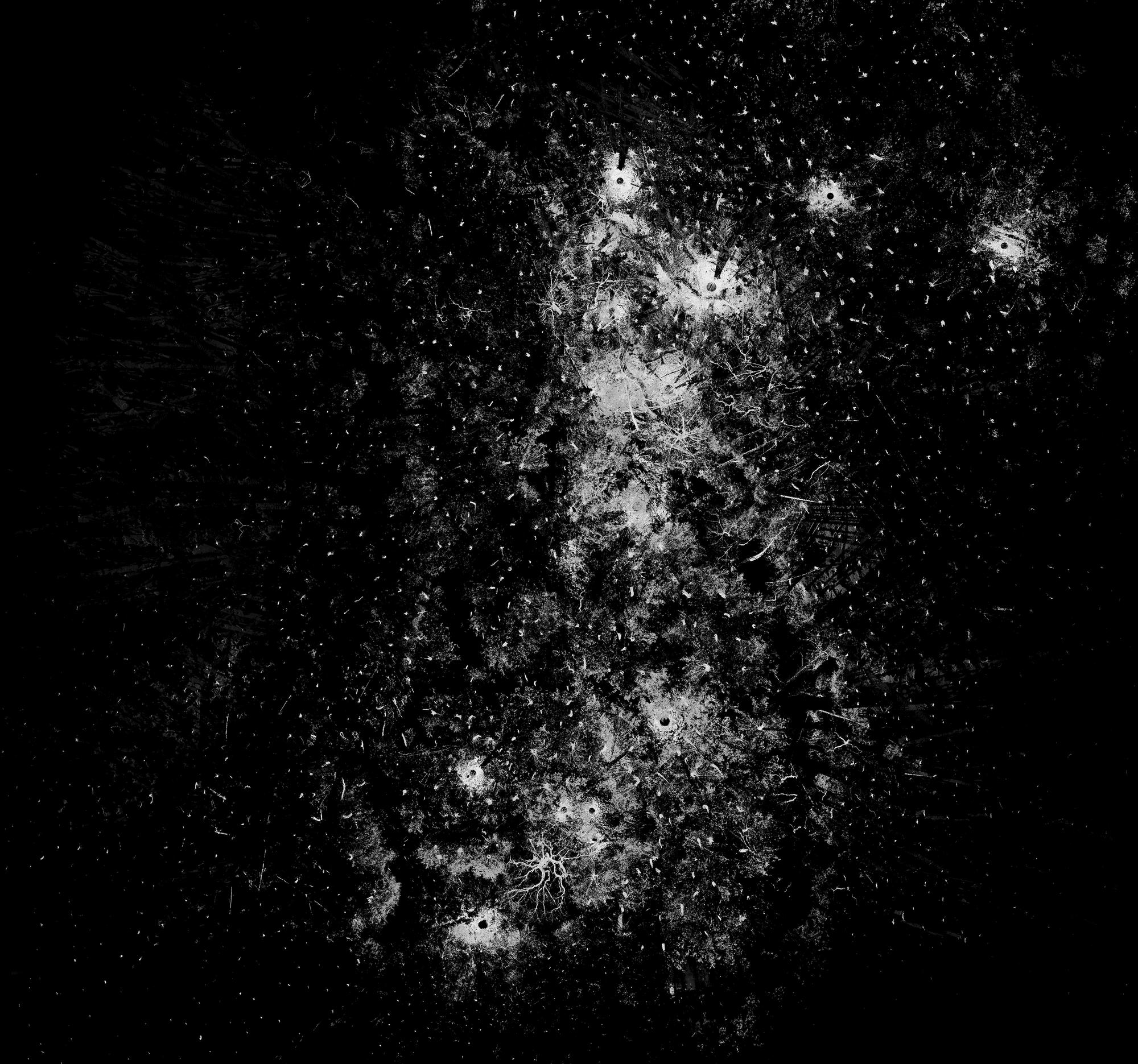 ForestScan
