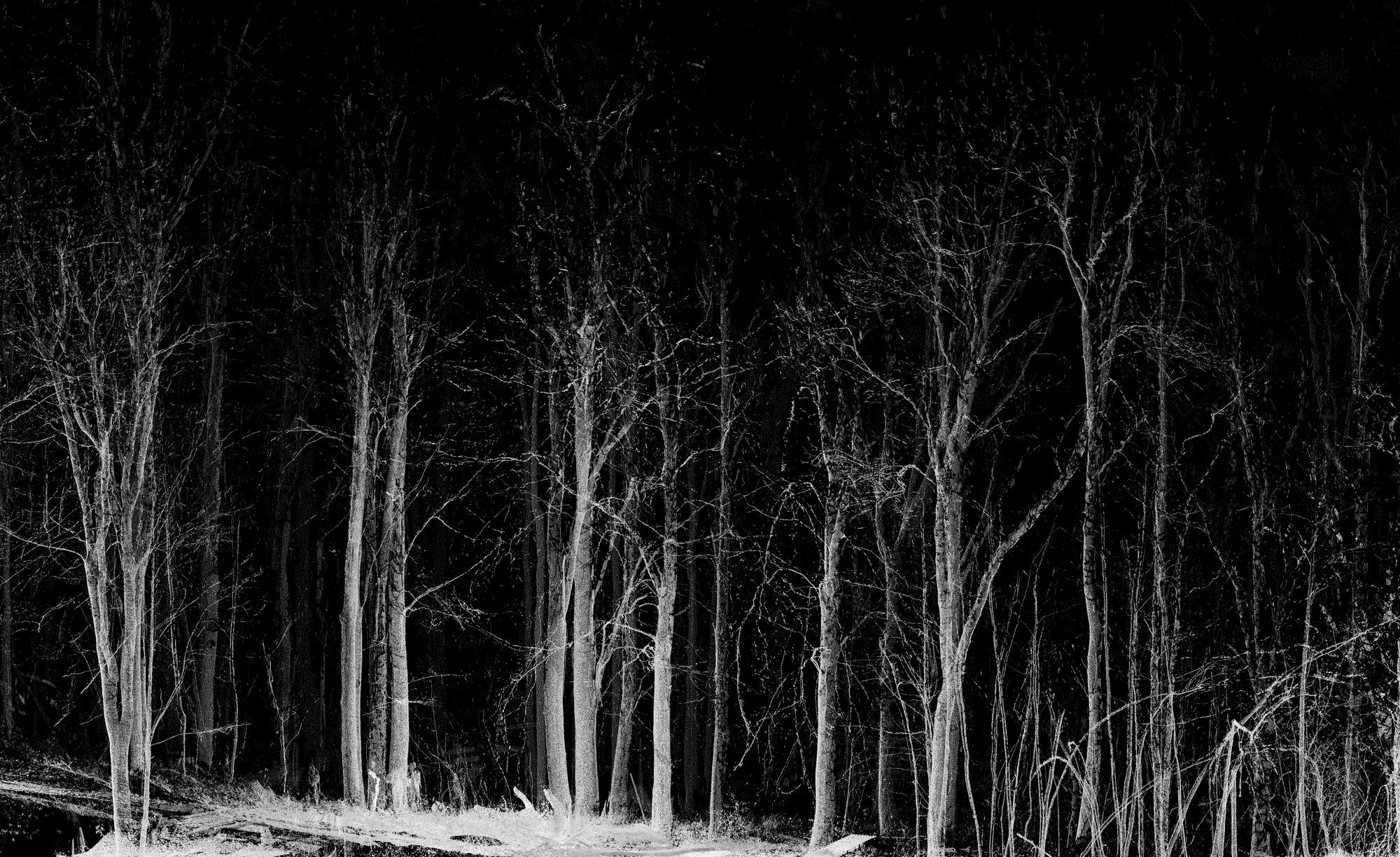 ForestScan