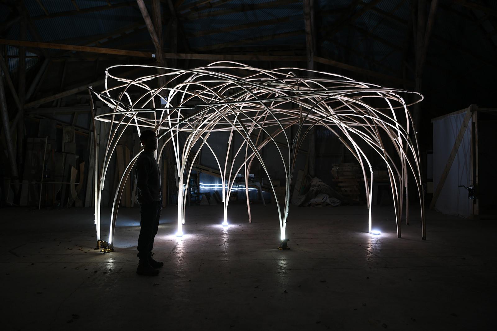 Free Form Steambending NightPhoto PHOTO NuriaBenitez
