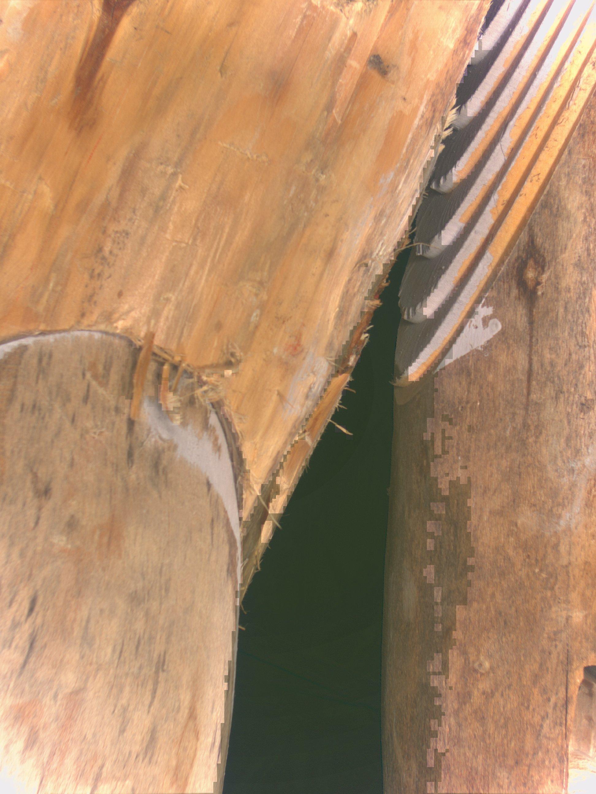 Scanning Glitch tree joint