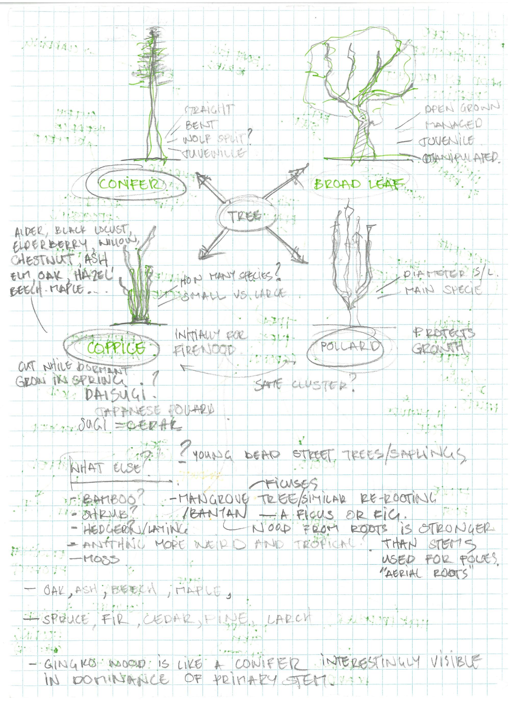Graph Paper tree parts diagram