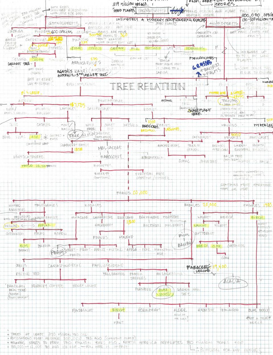 Graph Paper