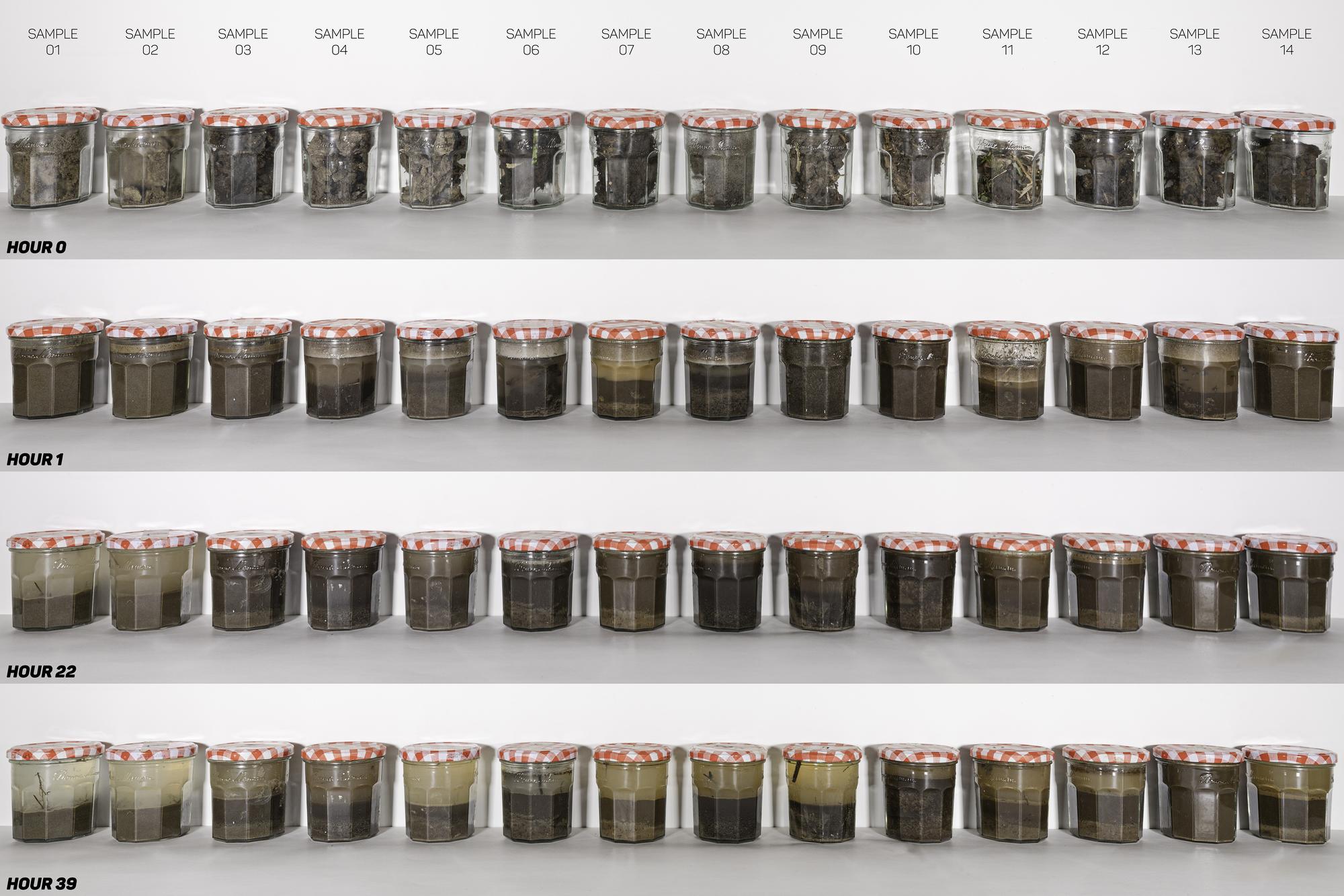 Kitchen Garden SoilSamples FaridYounesi