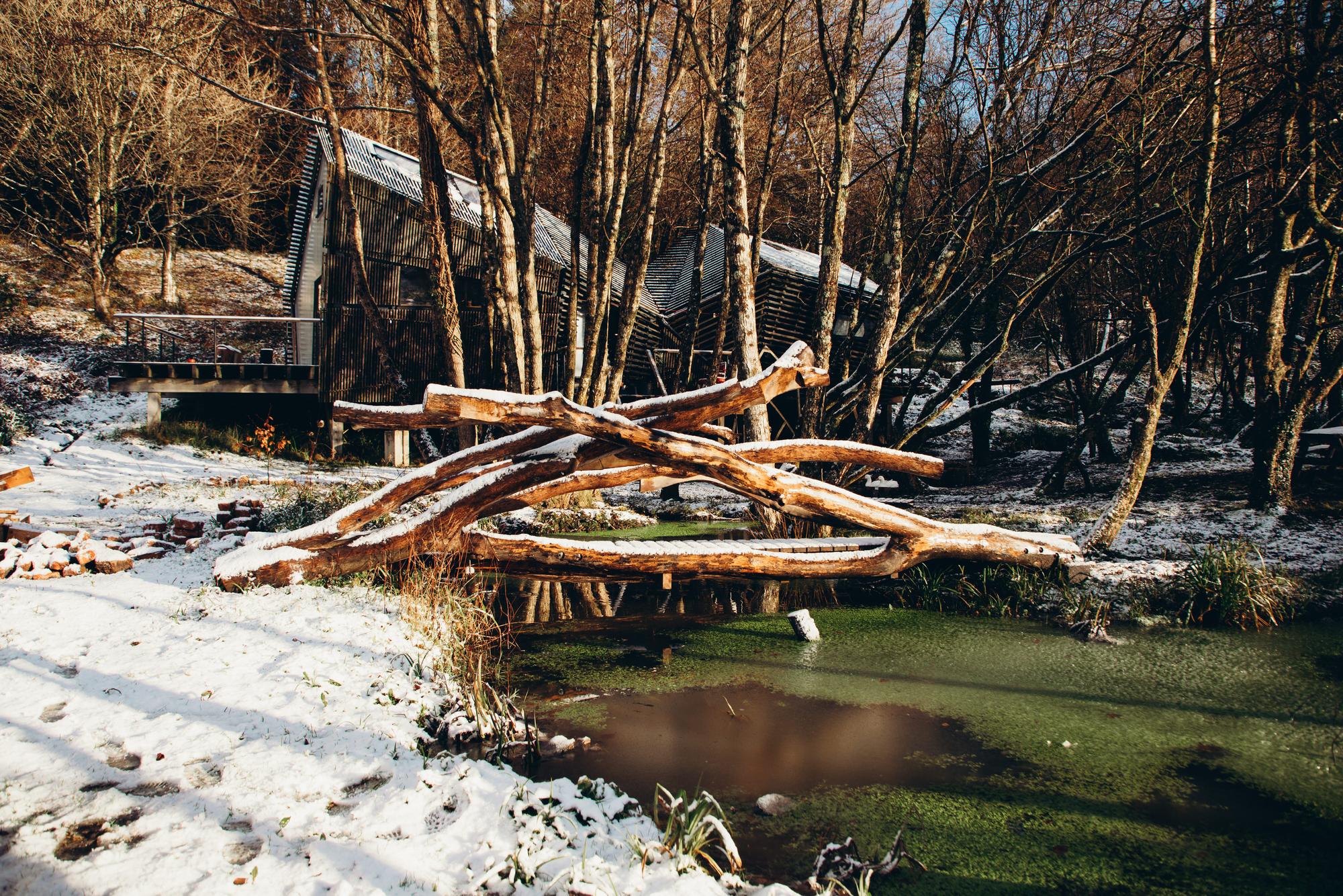 Leading Hooke Park WinterOnSite FaridYounesi