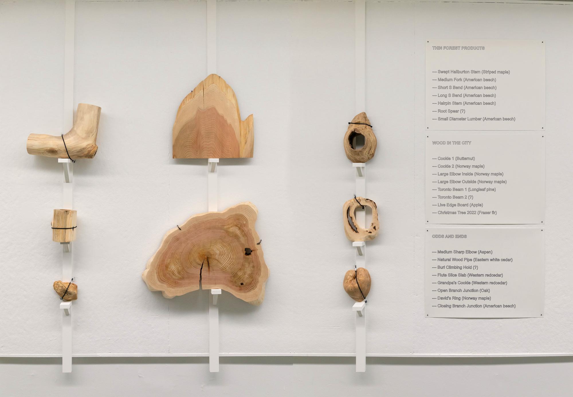 Other Wood Pieces Exhibition PHOTO JoaoEnxuto