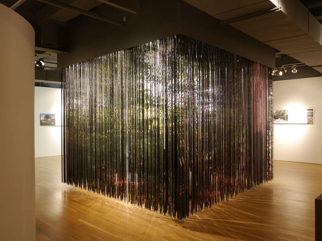 Plant Architects Venice Bienalle work
