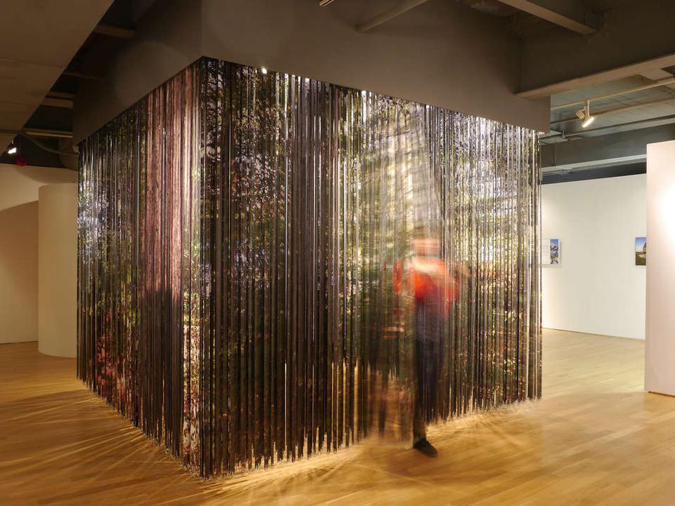 Plant Architects