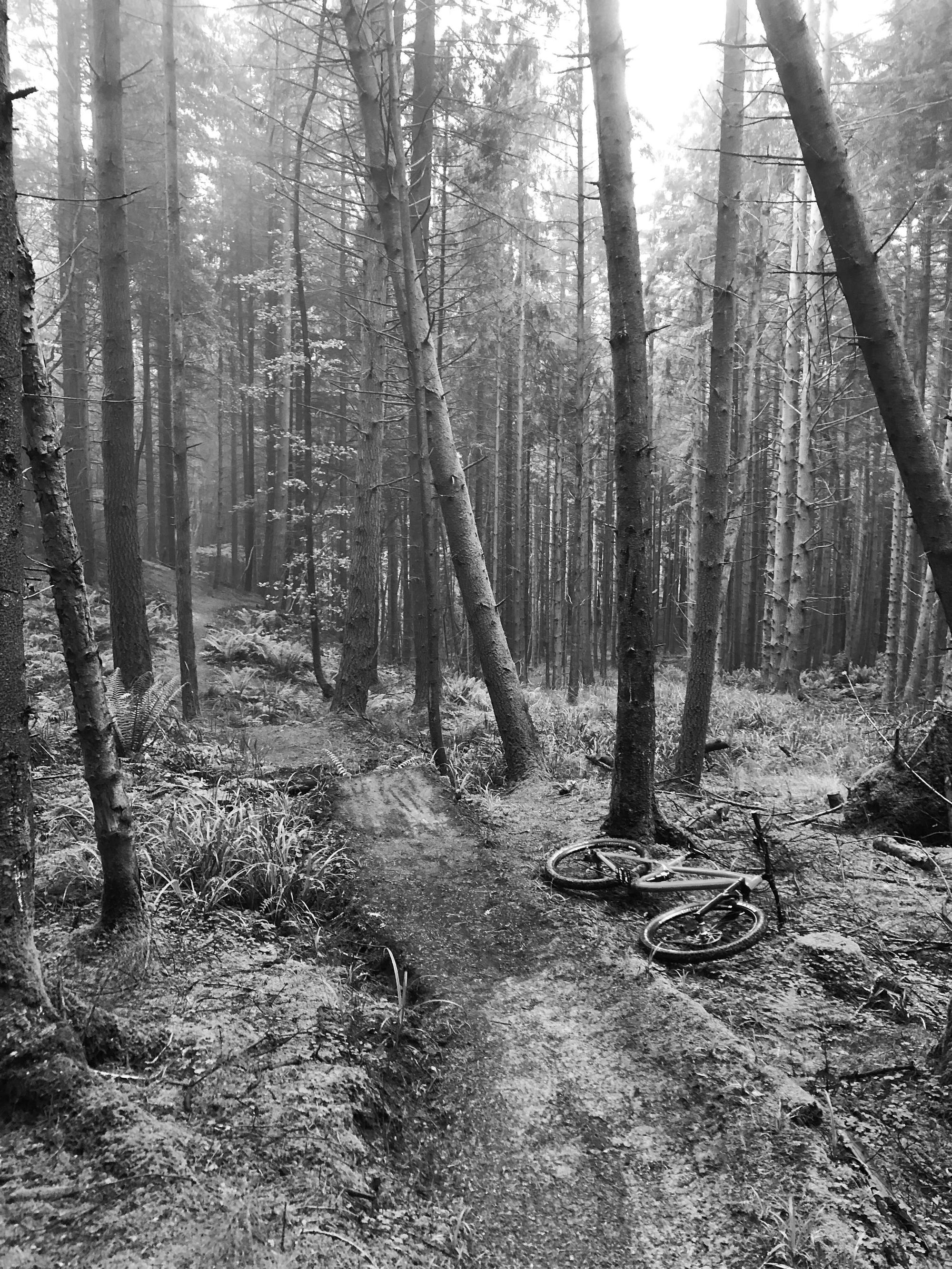 Post Work Zac and the Trail spread