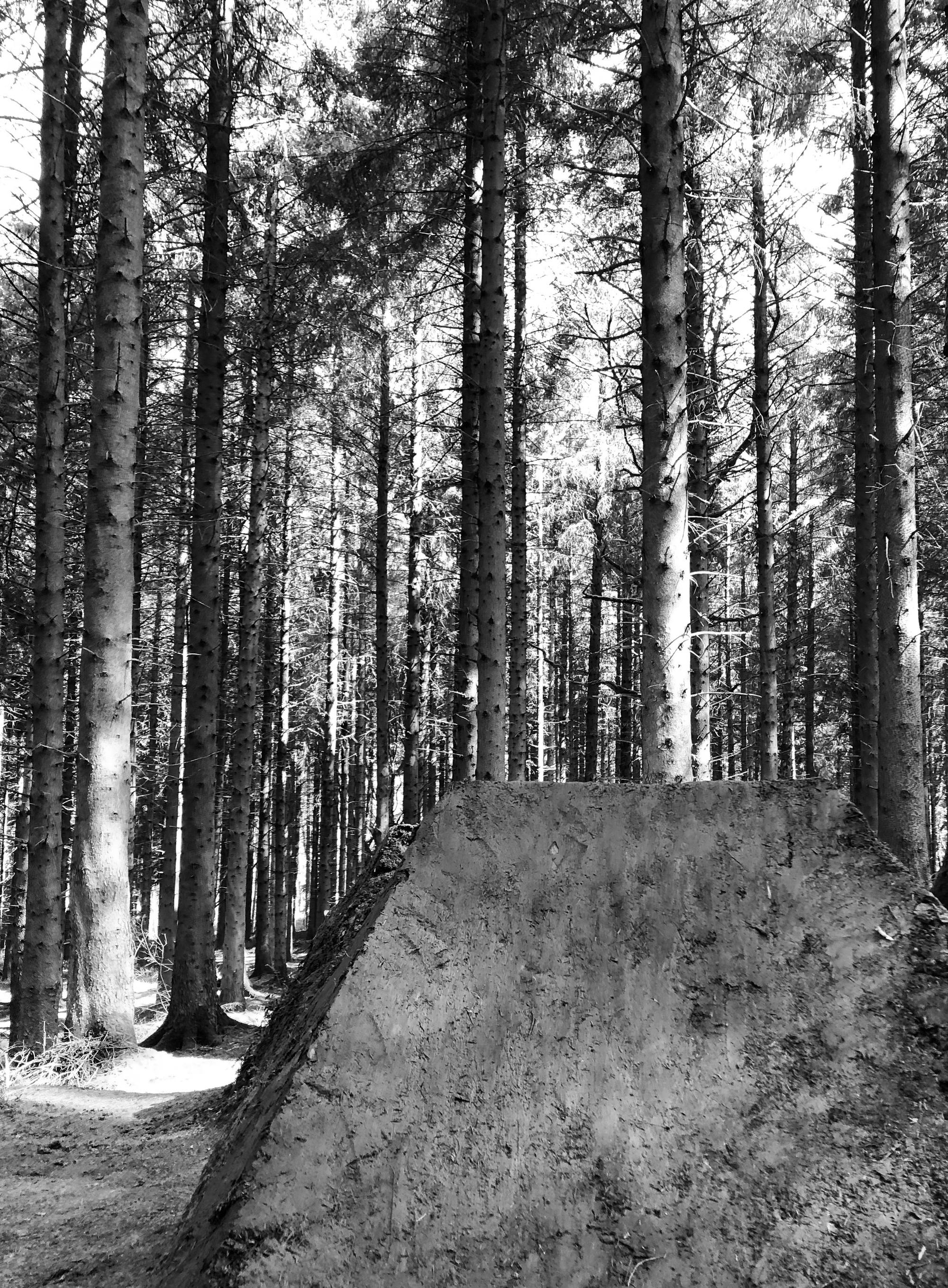 Post Work Zac and the Trail spread