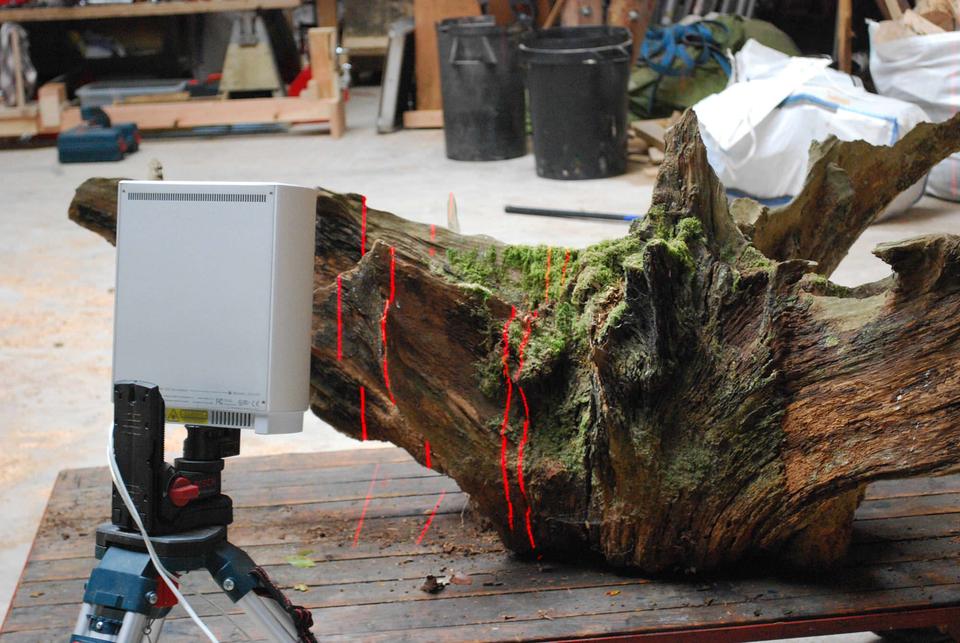 Root Plate