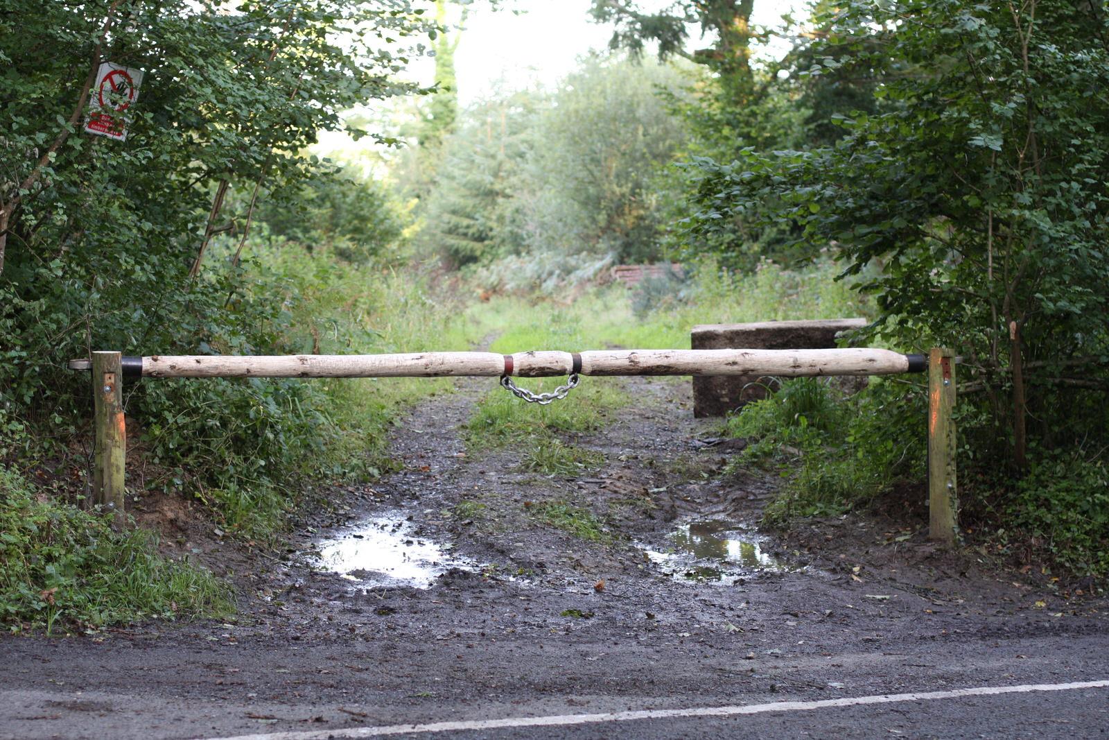 Slow Joinery by Laura Welsh