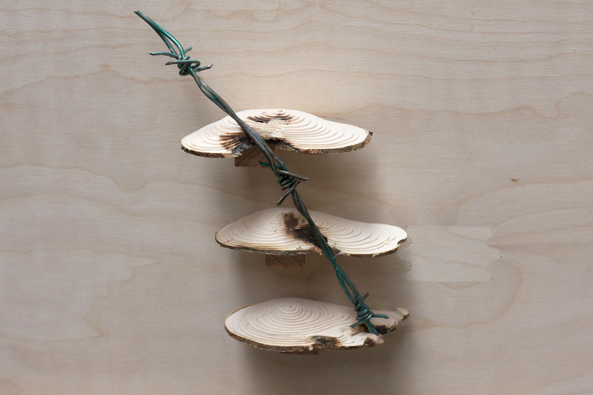 Slow Joinery by Laura Welsh