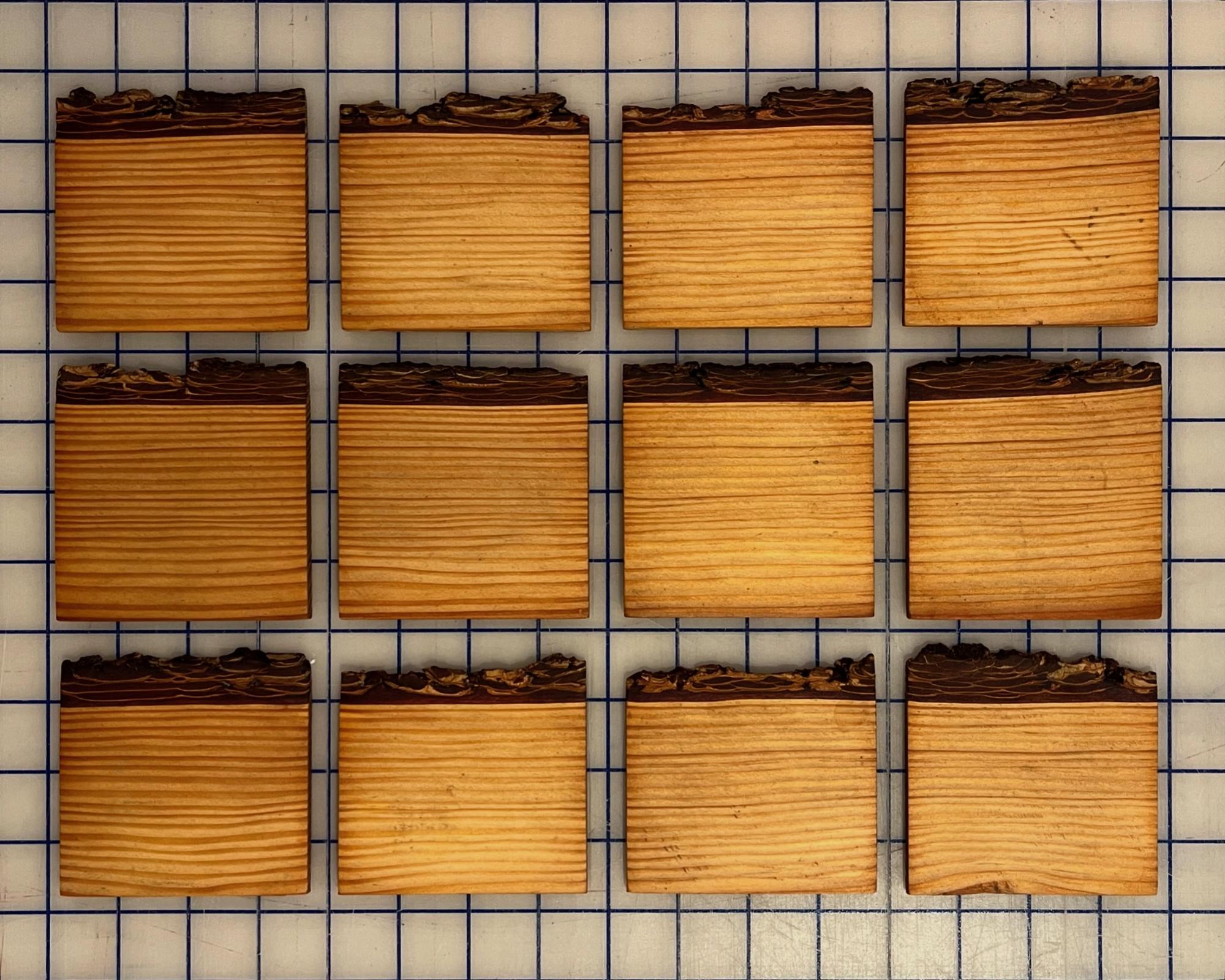 Small Wood Good BarkOnCoasters2