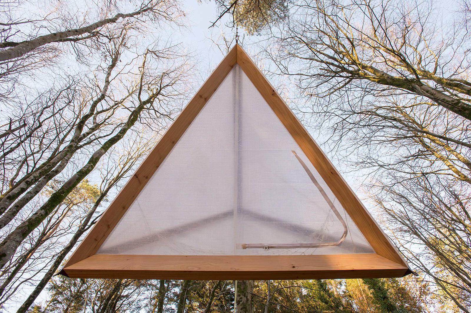 Tetrahedron in the Forest