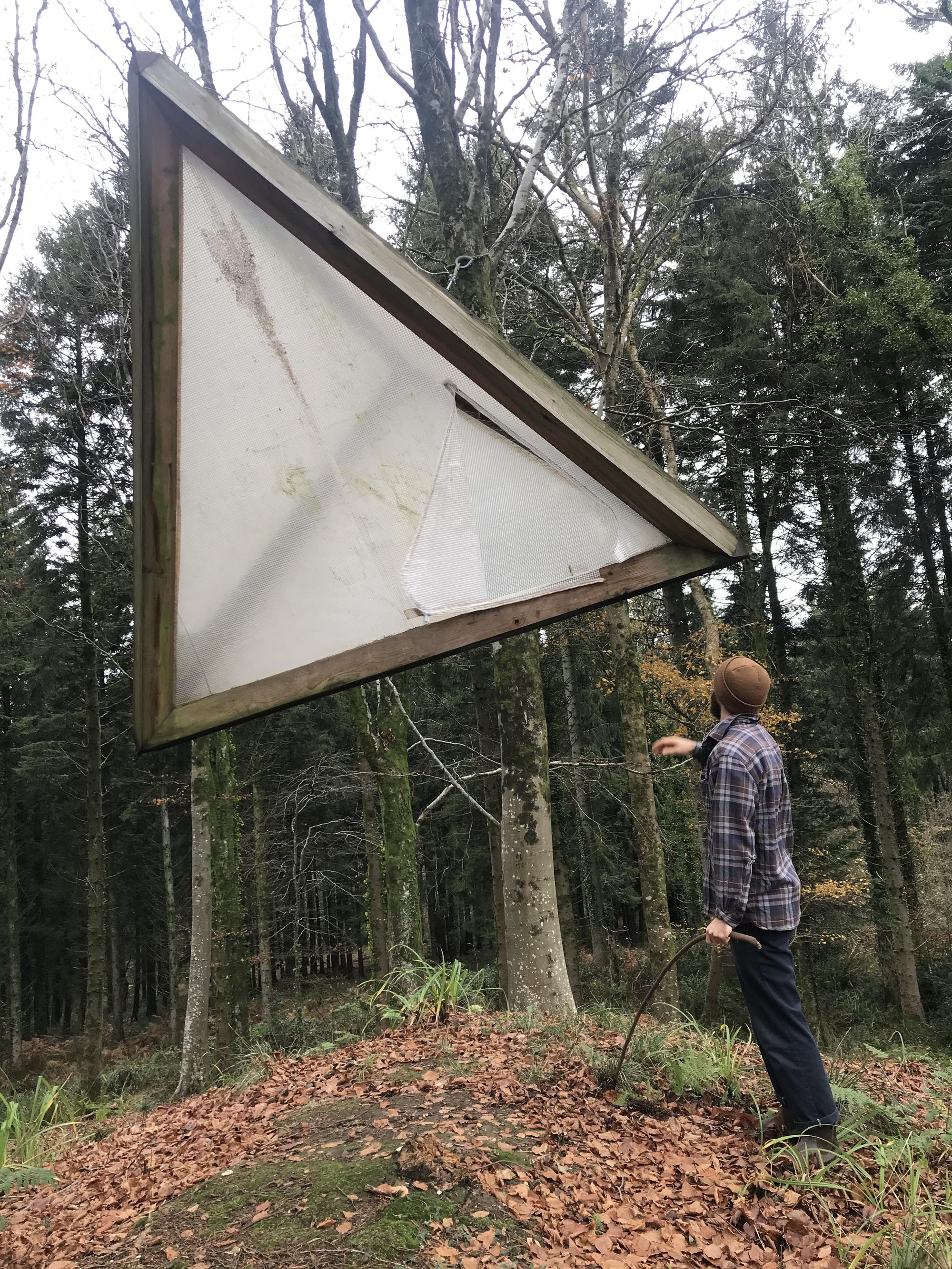Tetrahedron in the Forest years after install
