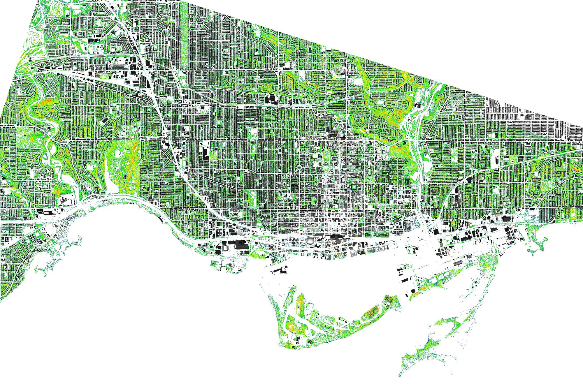 TorontoTreeLiDARPlan_City