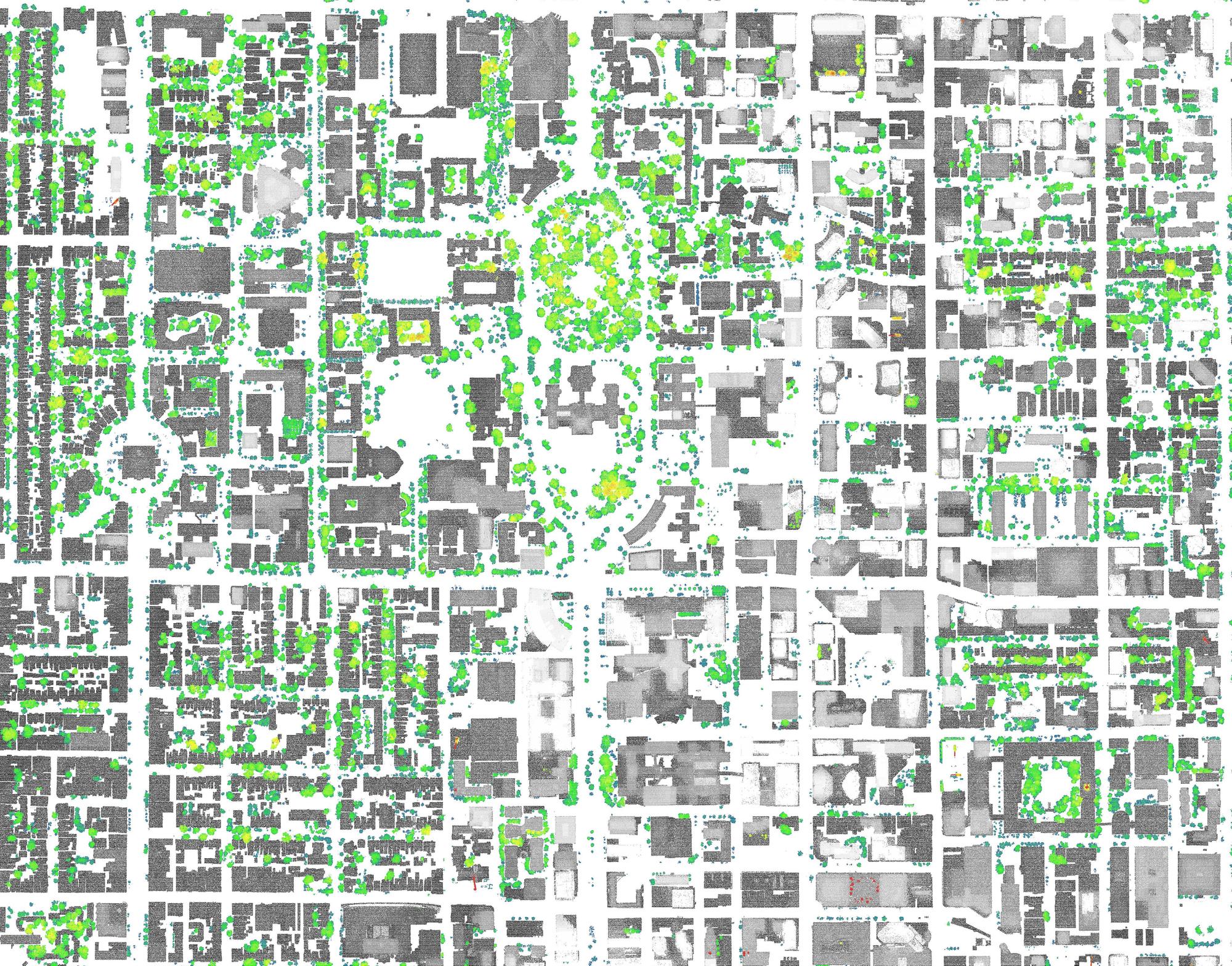 TorontoTreeLiDARPlan_Neighbourhood1