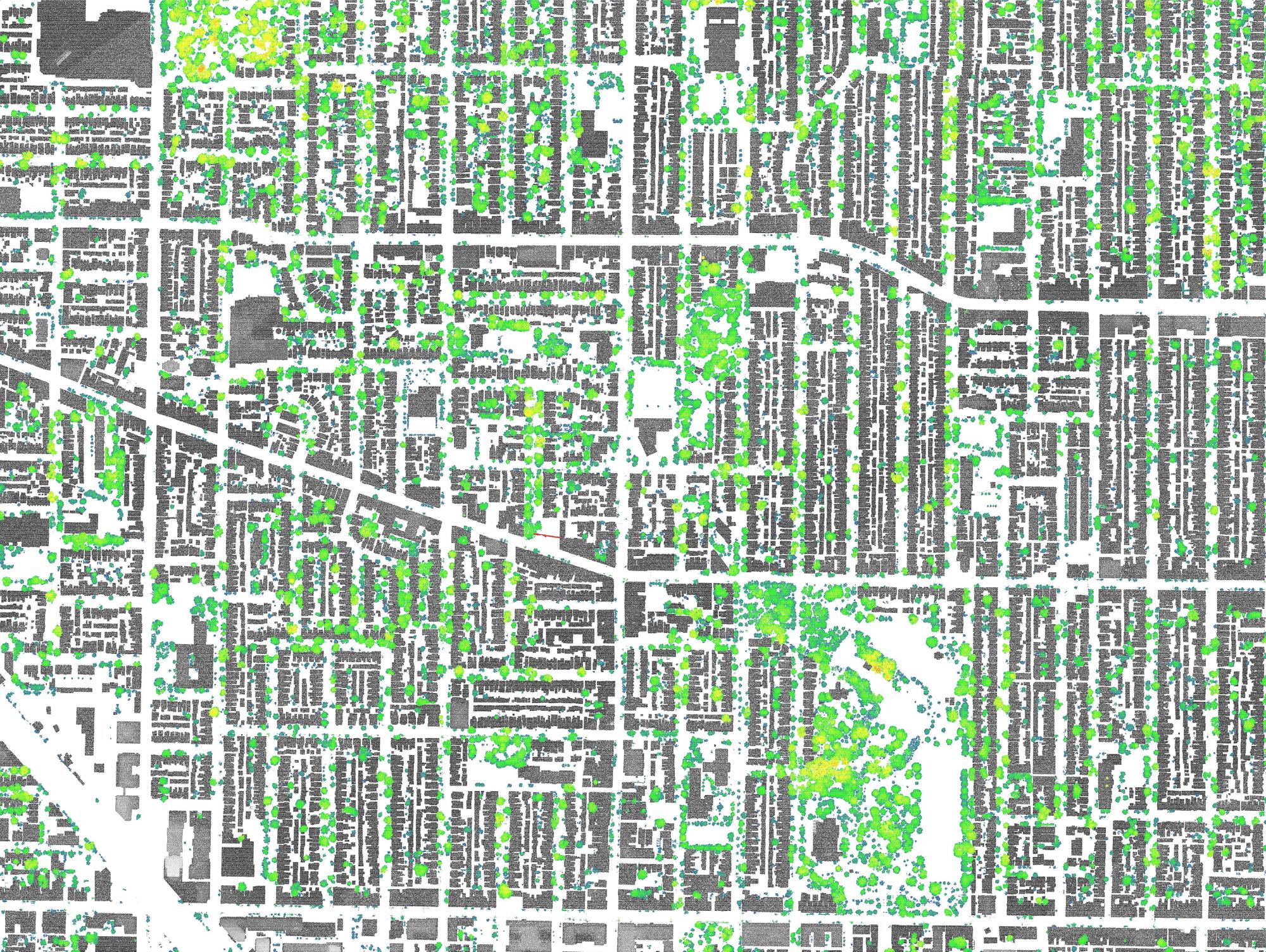 TorontoTreeLiDARPlan_Neighbourhood2