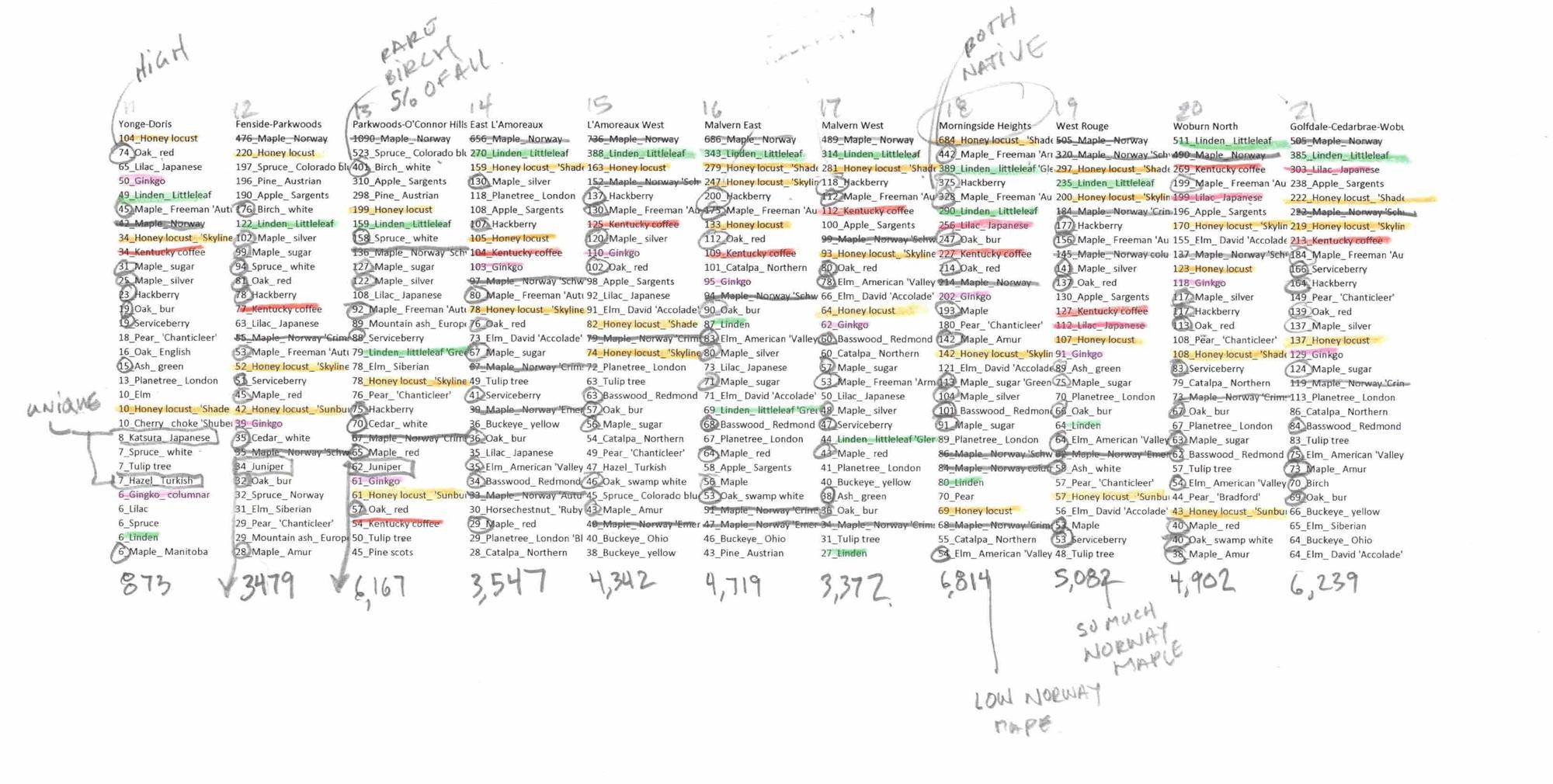 Toronto Trees neighbourhood rankings graph