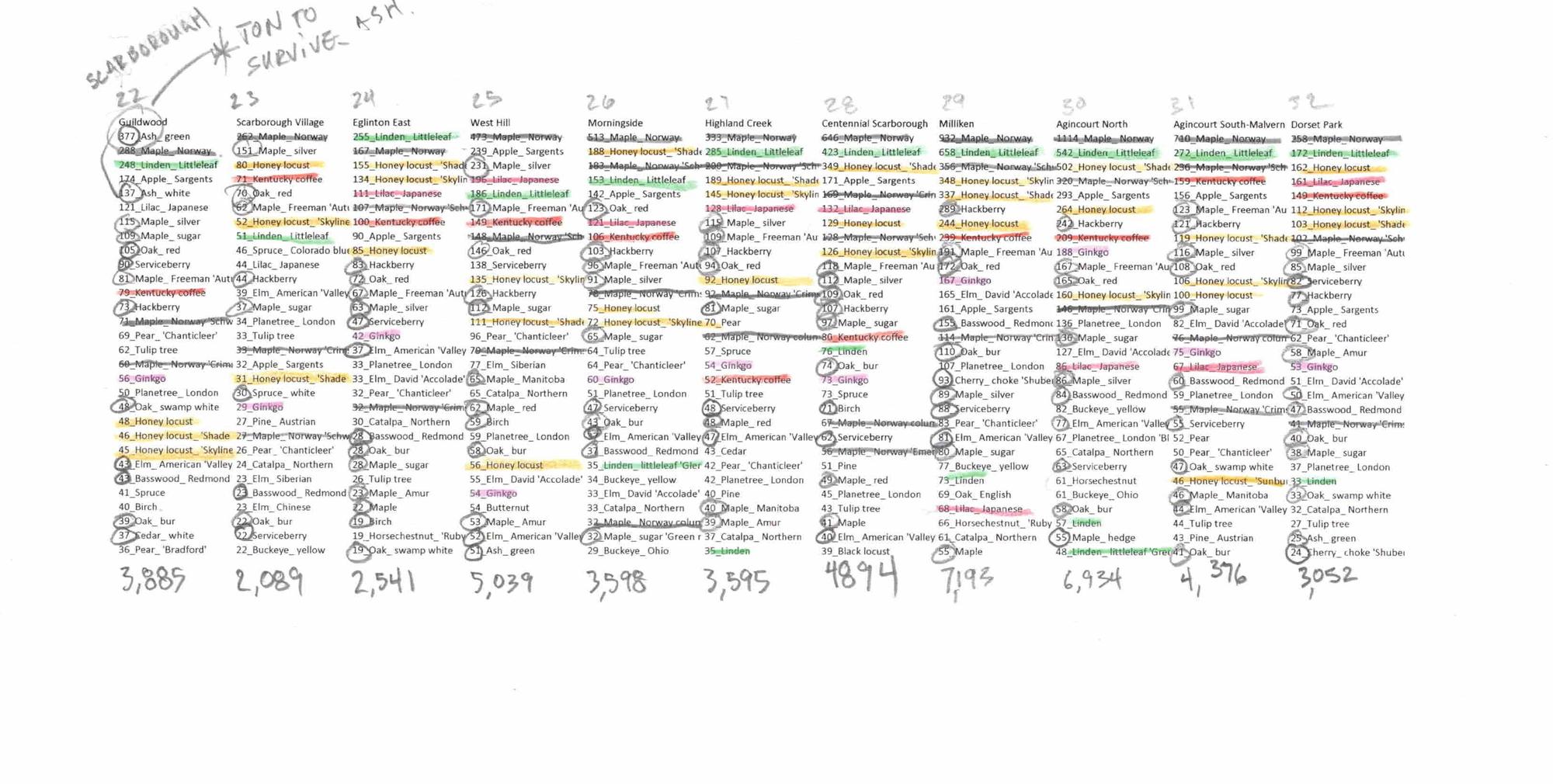 Toronto Trees neighbourhood rankings graph