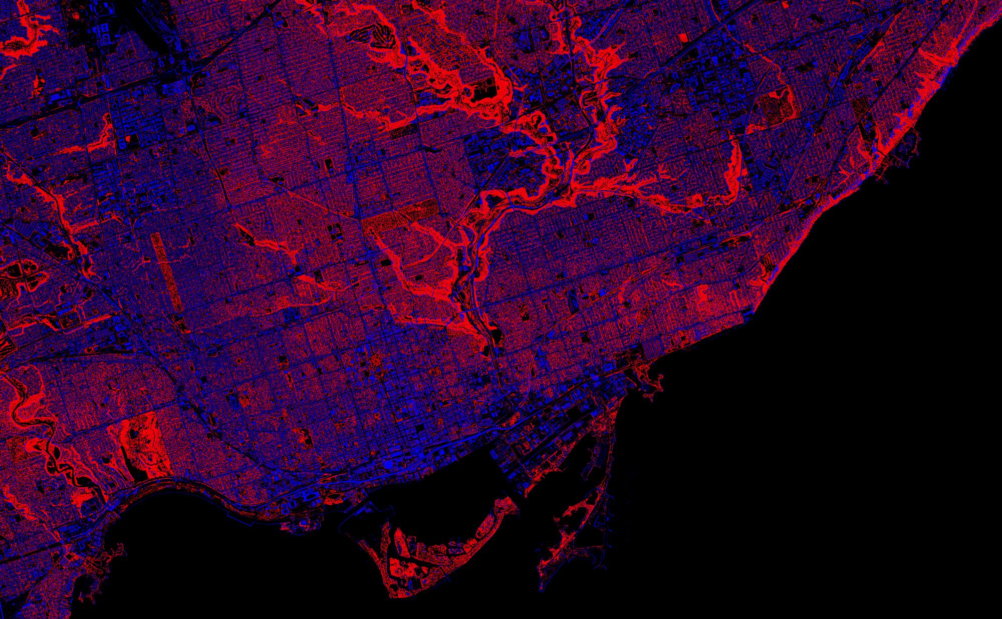 Toronto Trees cover image