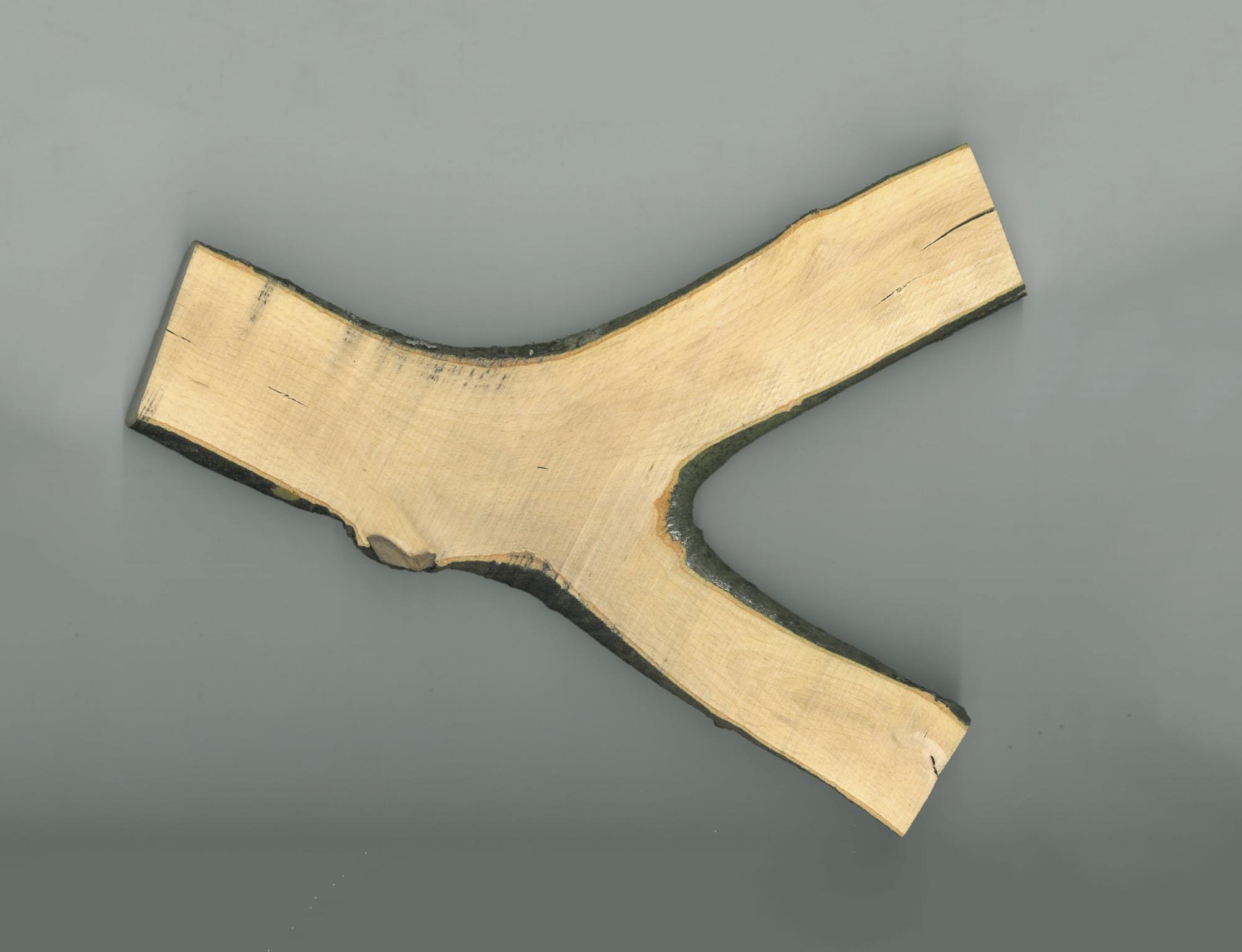 Tree Fork Truss