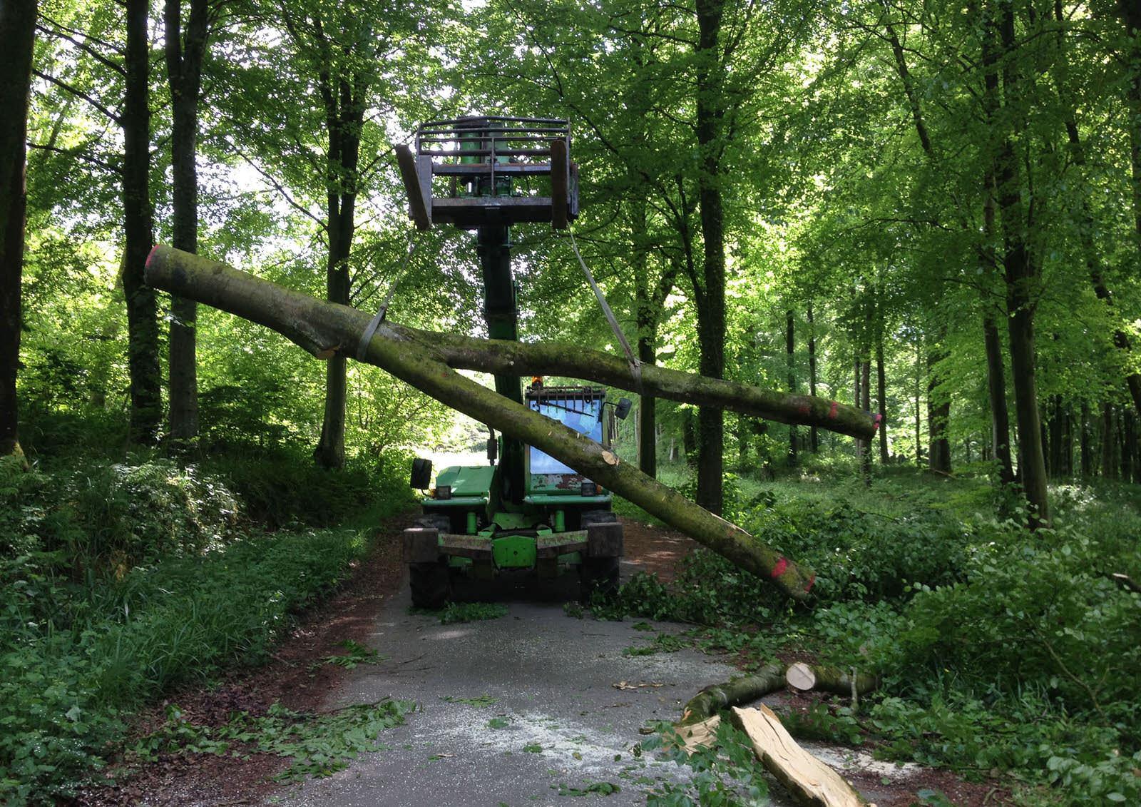 Tree Fork Truss