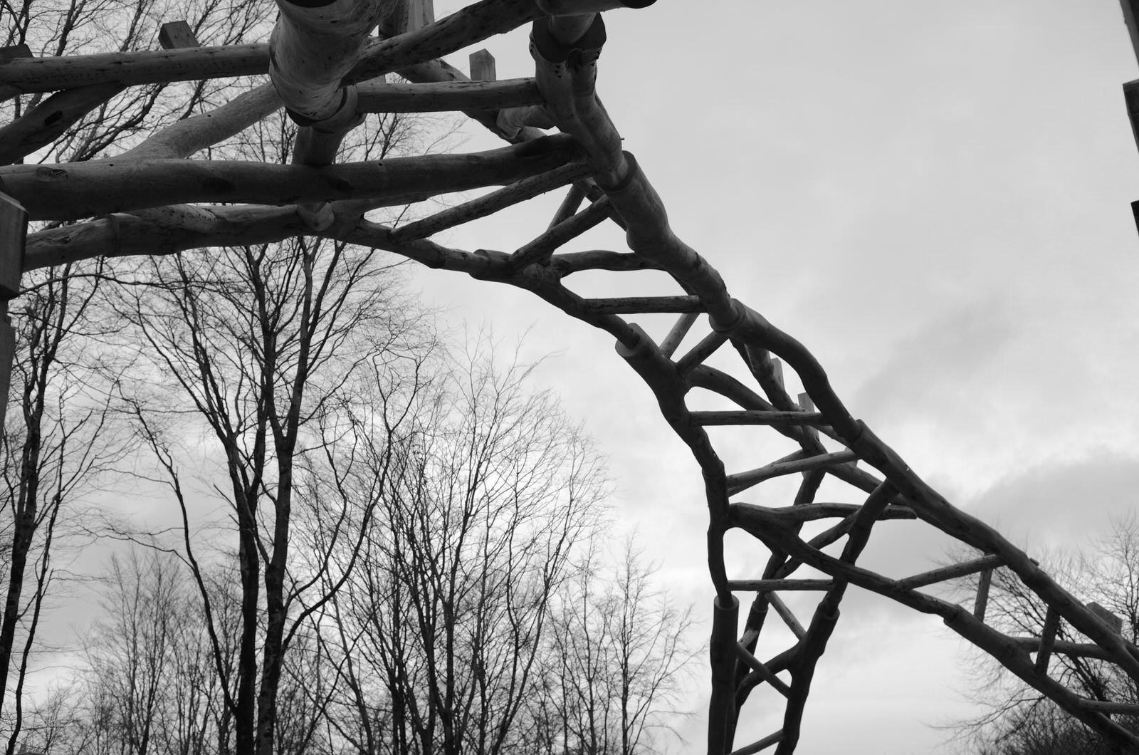 Tree Fork Truss