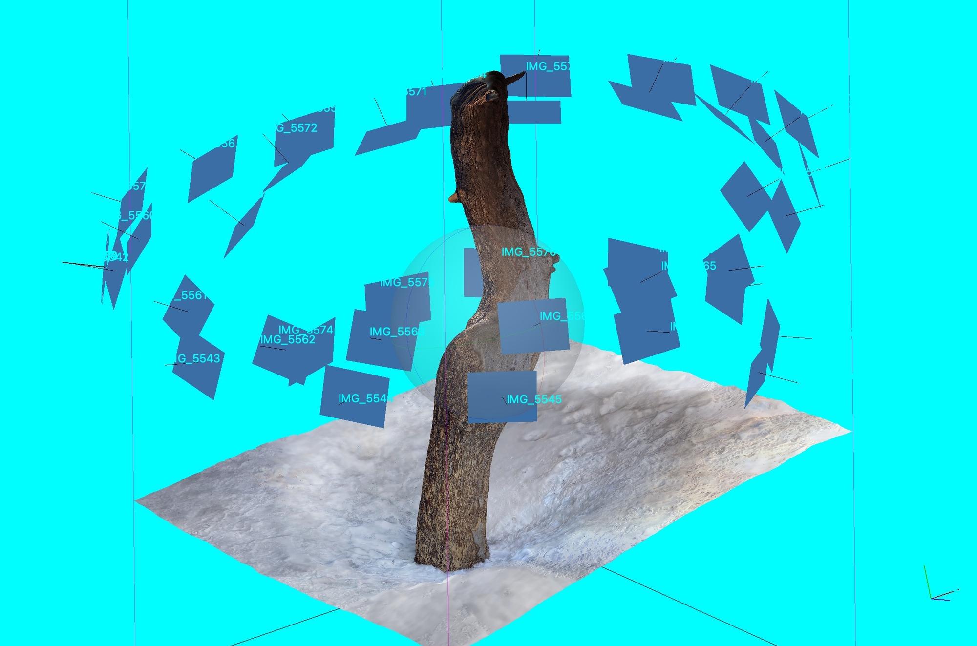 Tree 3D Scan TunnelMountainTree_00