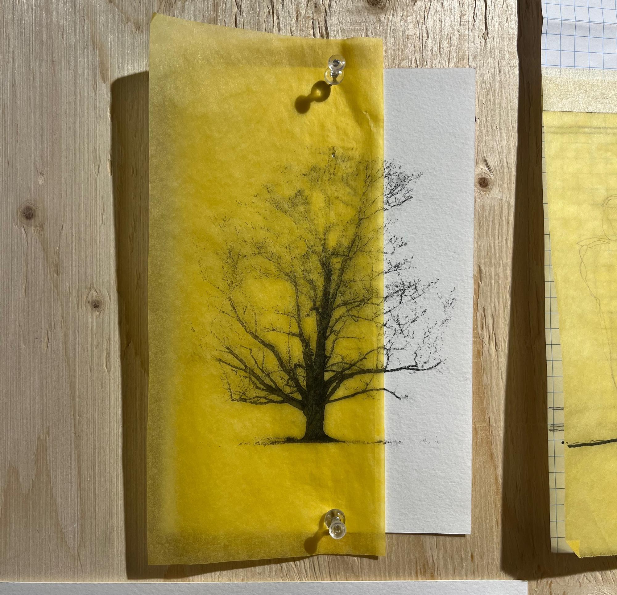Using Trees Exhibition