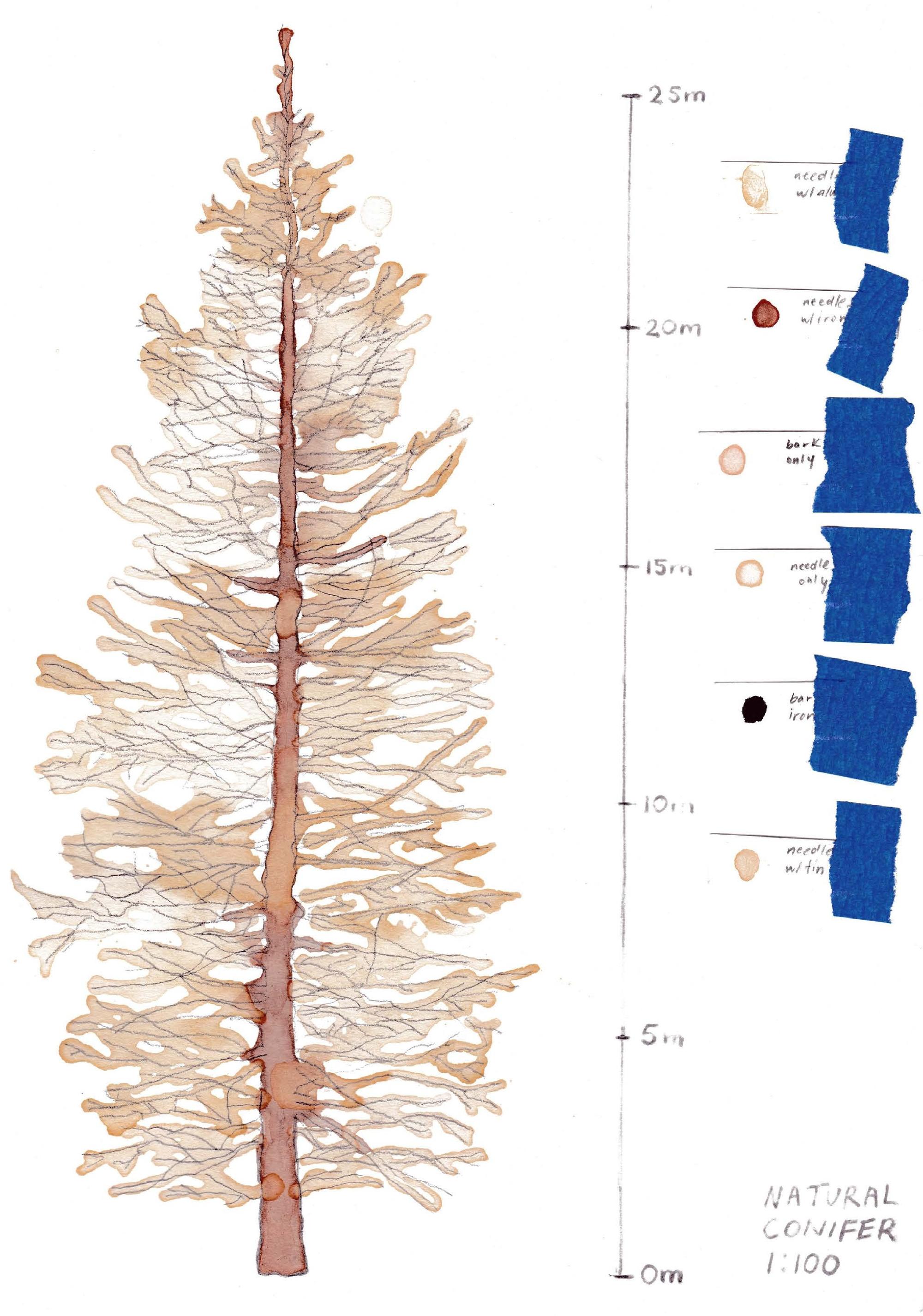 Using Trees Studio Samantha Tam thesis work