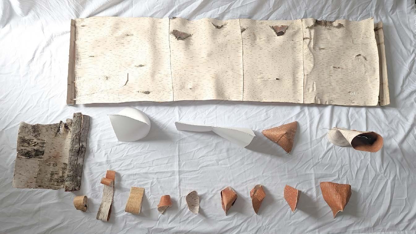 Using Trees Studio Jiashu Song thesis work