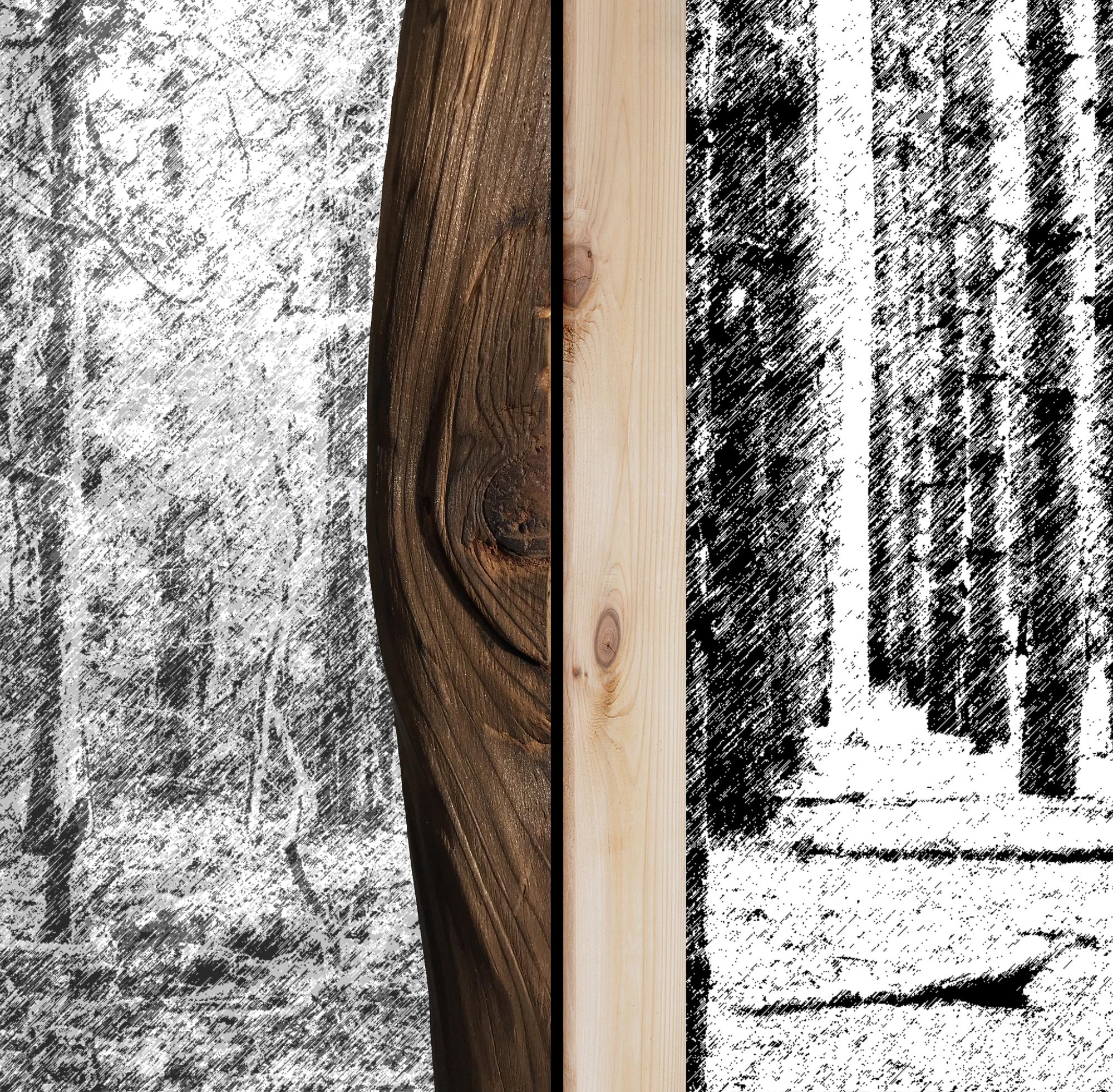 Using Trees Studio Jin Liu thesis work