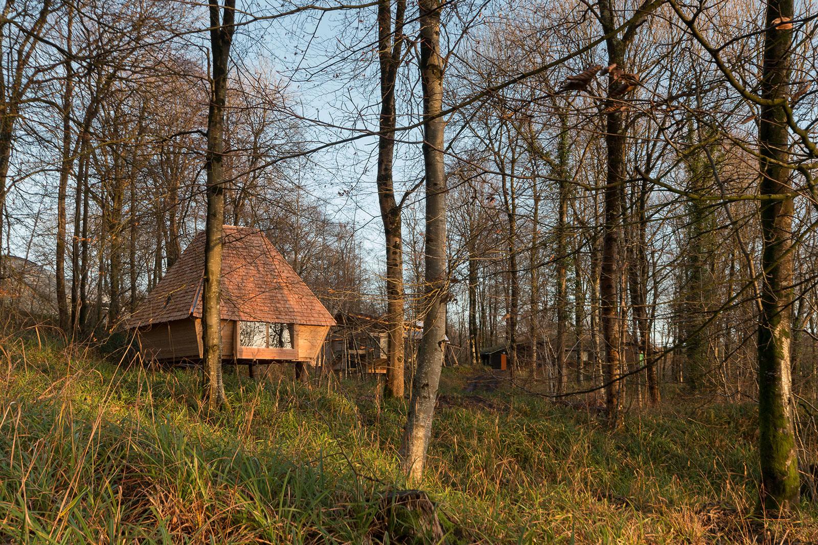 Woodland Cabin CabinInLandscape WyattArmstrong