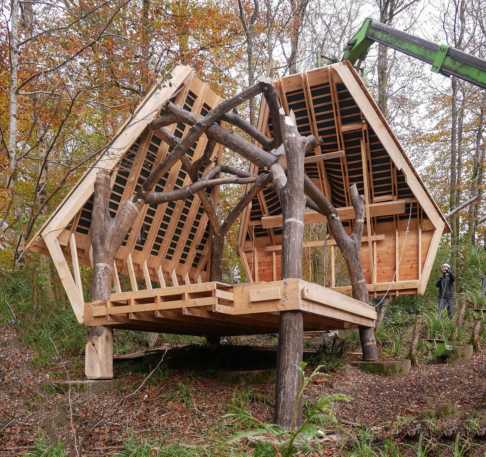 Woodland Cabin ErectionOnSite