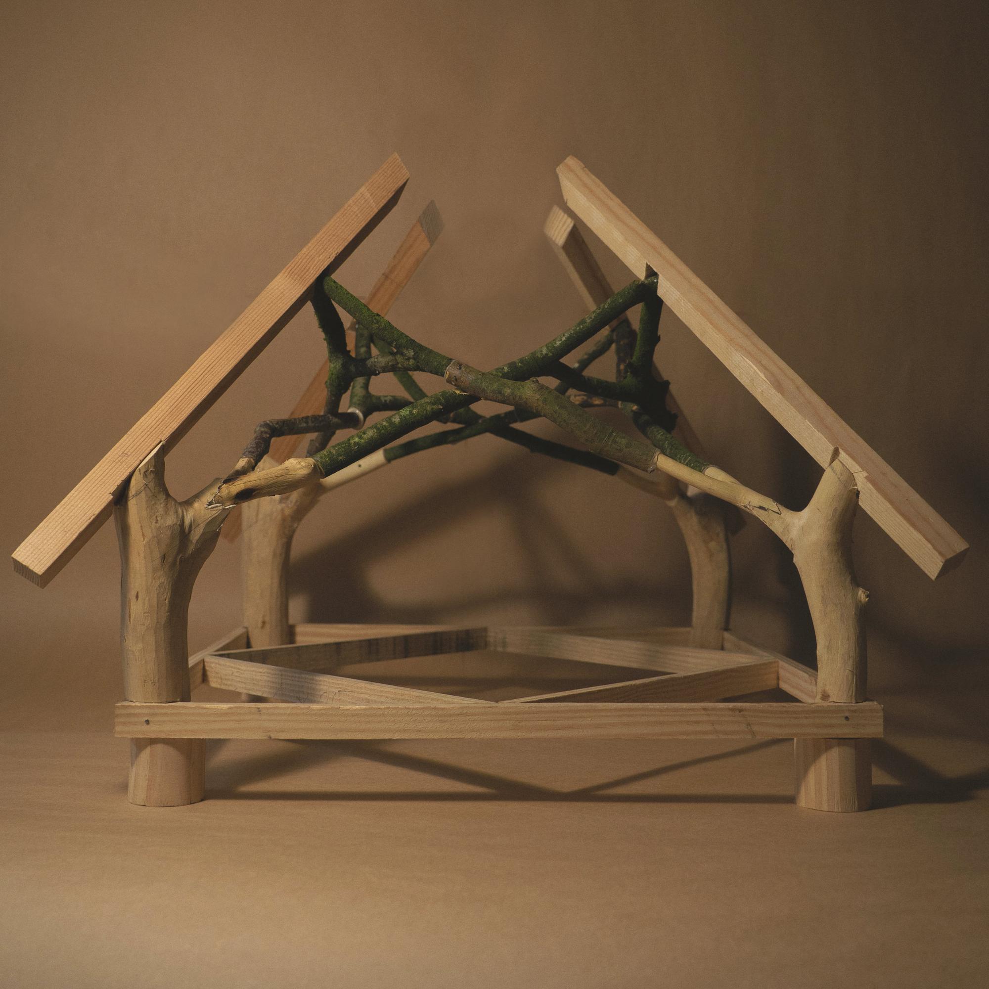 Woodland Cabin CabinModelPhoto WyattArmstrong